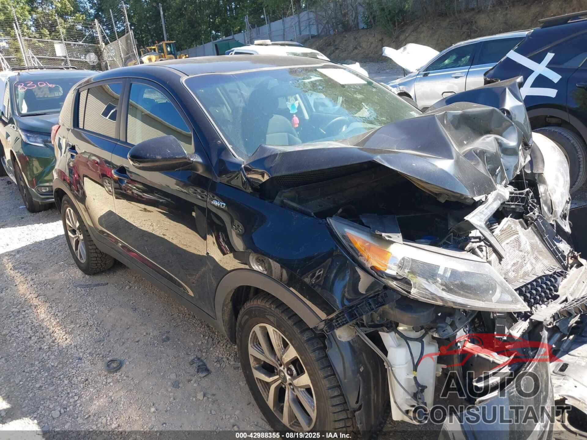 KIA SPORTAGE 2016 - KNDPBCAC2G7857506