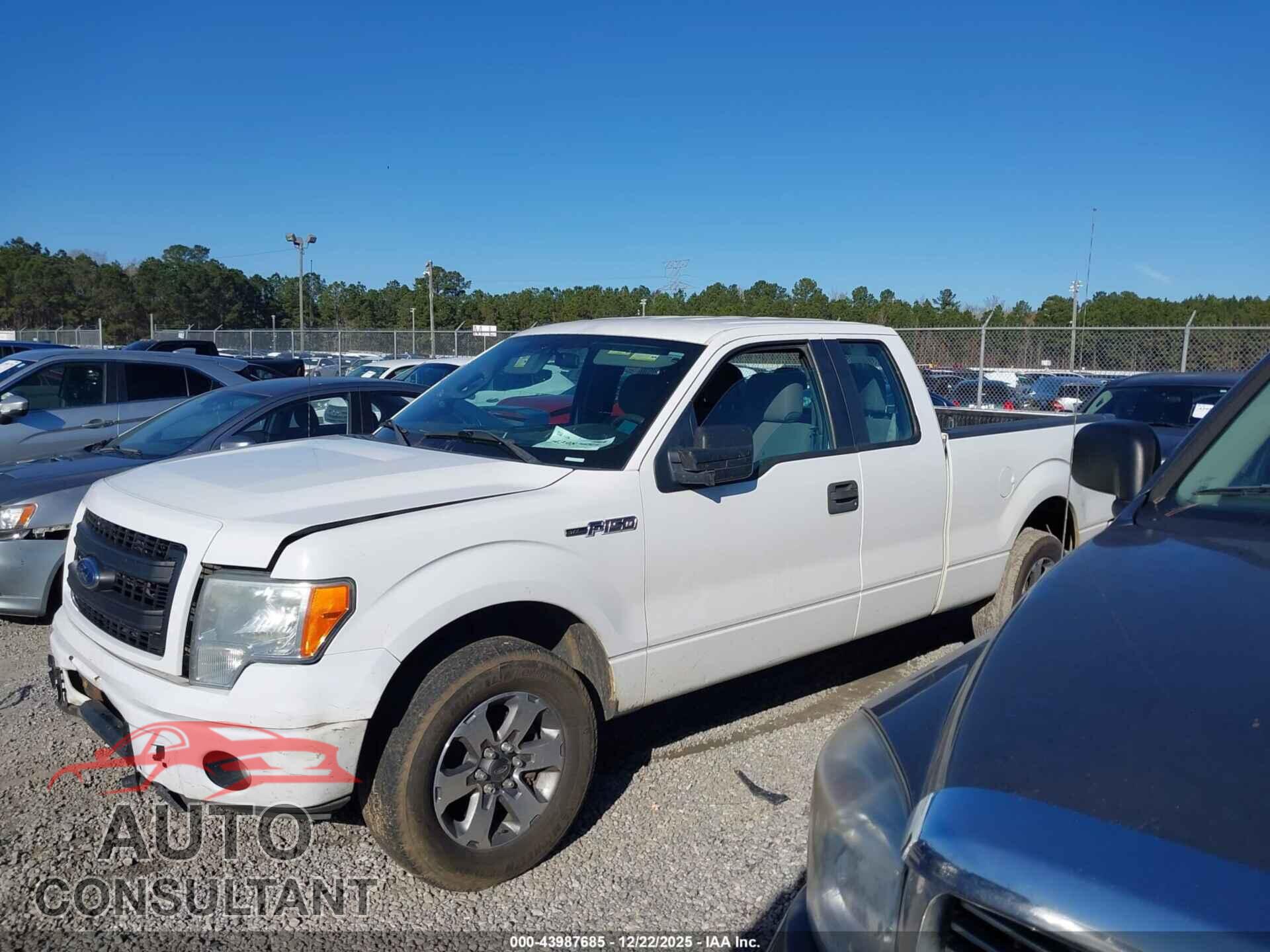 FORD F-150 2013 - 1FTFX1CF6DFA86932