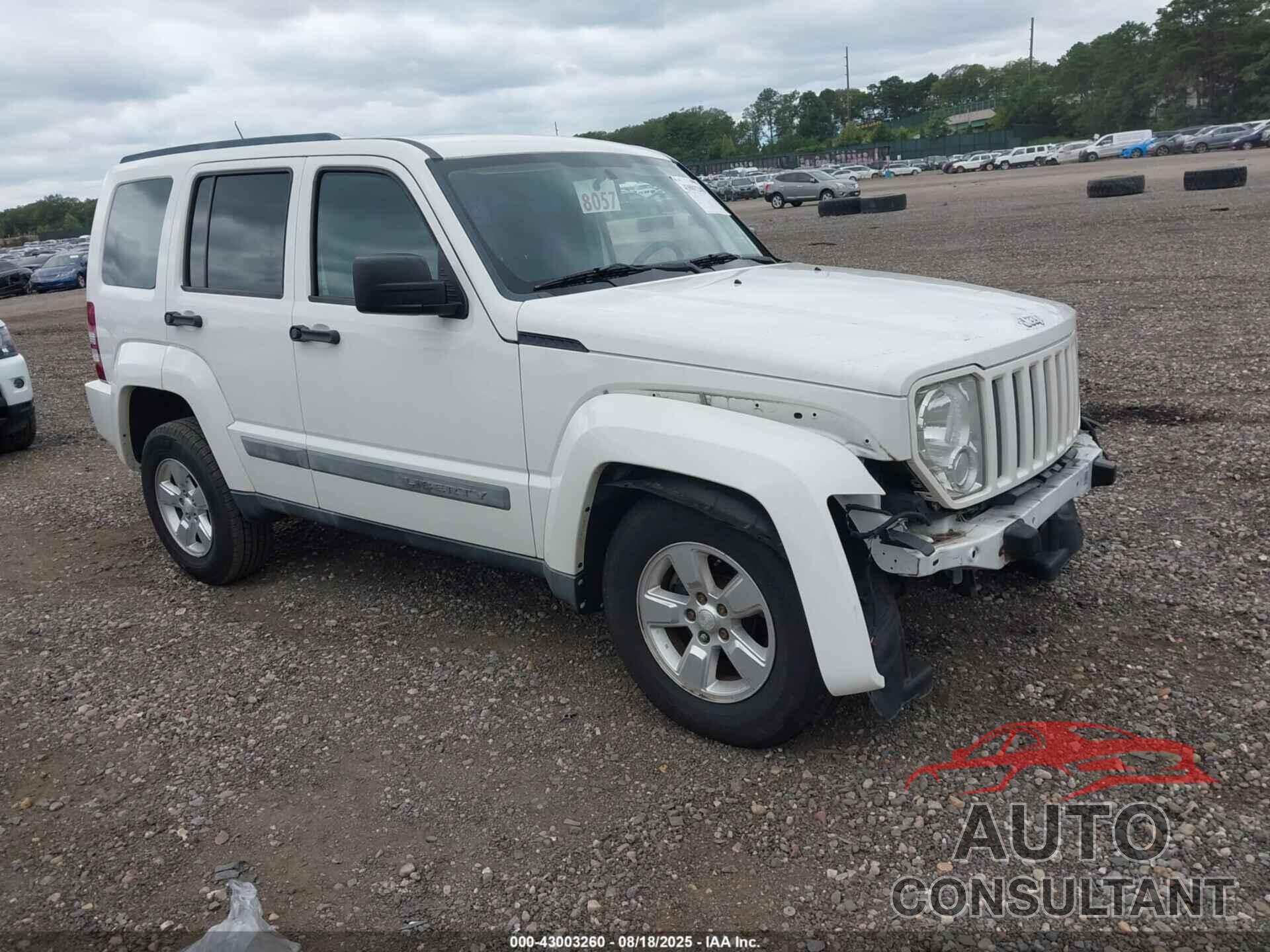 JEEP LIBERTY 2010 - 1J4PN2GK1AW178480