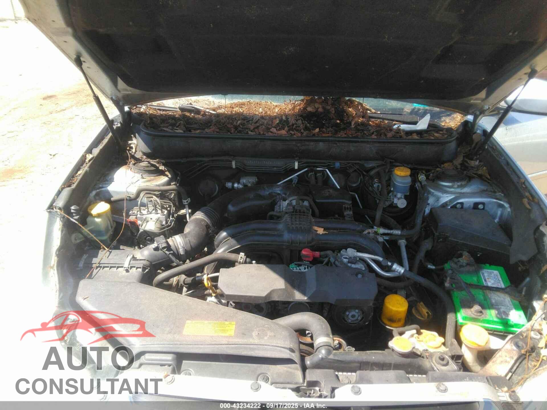 SUBARU OUTBACK 2014 - 4S4BRBCC5E3219327