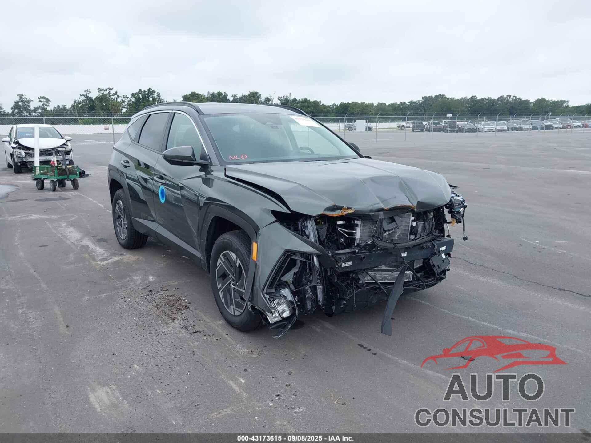 HYUNDAI TUCSON HYBRID 2025 - KM8JBDD10SU305689