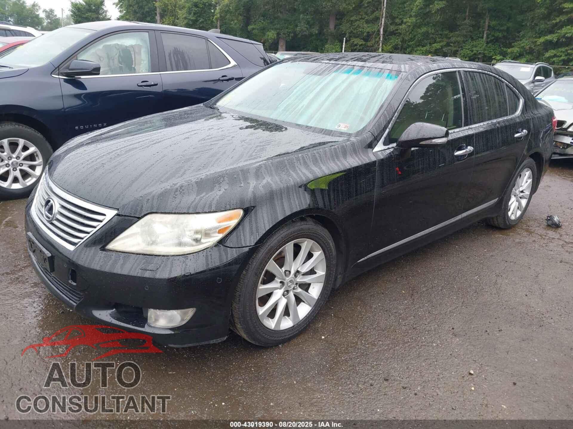 LEXUS LS 460 2010 - JTHCL5EF0A5008553