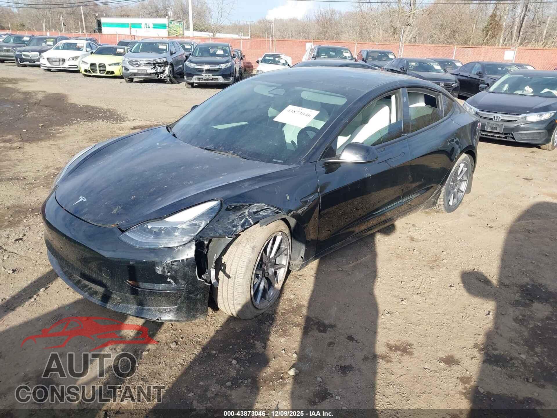 TESLA MODEL 3 2023 - 5YJ3E1EA0PF552020