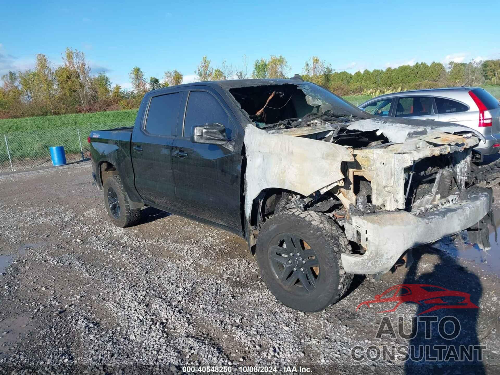 CHEVROLET SILVERADO 1500 2020 - 1GCPYFED6LZ222208