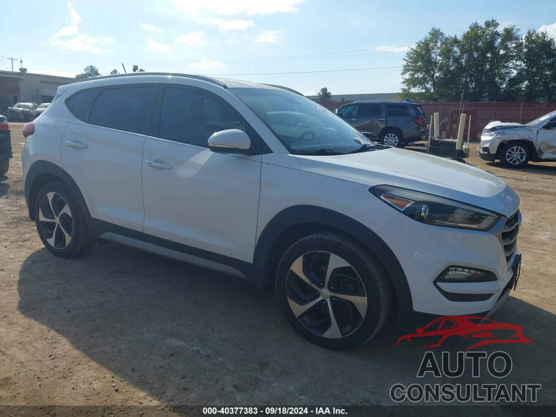 HYUNDAI TUCSON 2017 - KM8J33A22HU343342