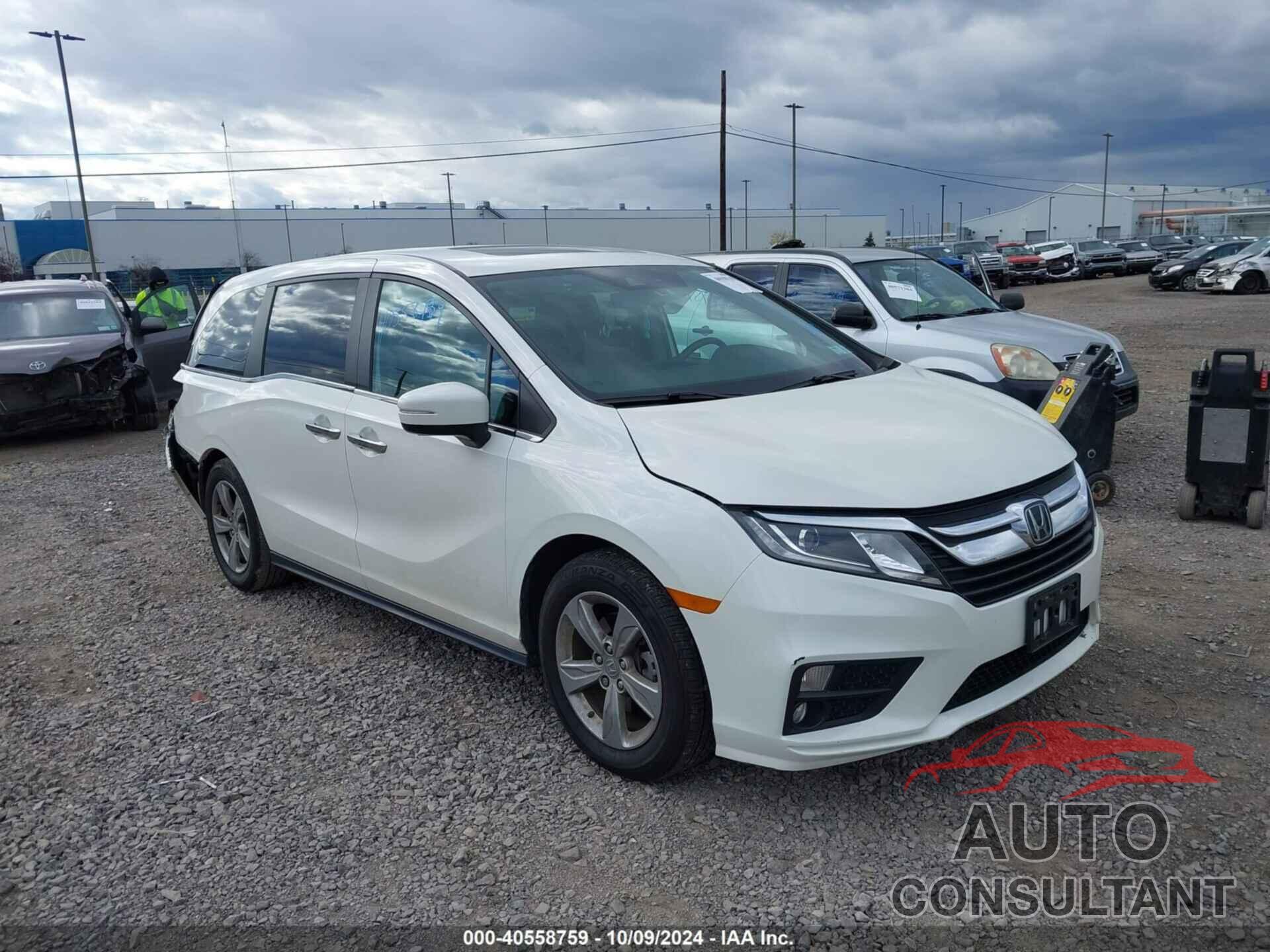 HONDA ODYSSEY 2019 - 5FNRL6H79KB109905