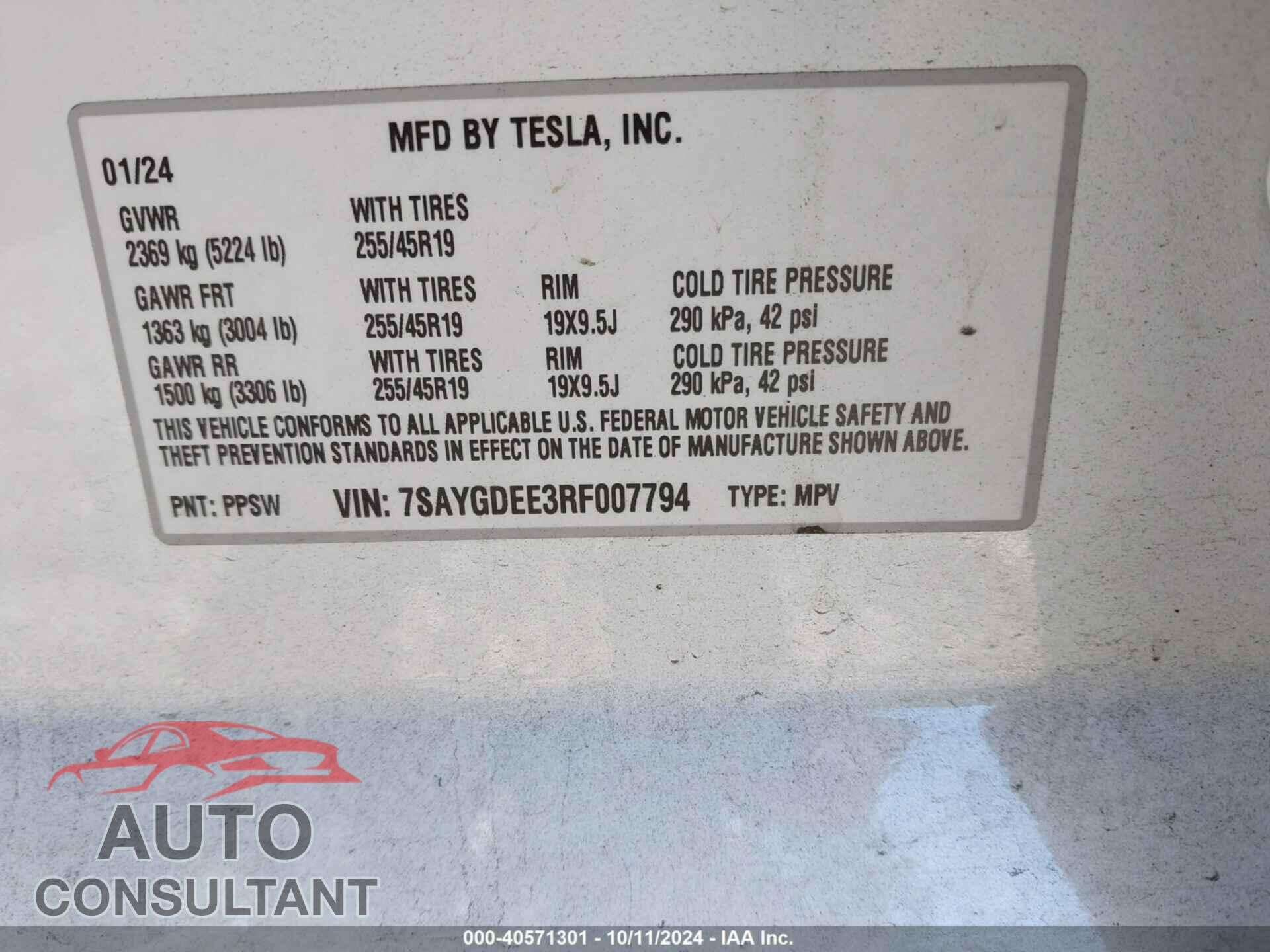 TESLA MODEL Y 2024 - 7SAYGDEE3RF007794