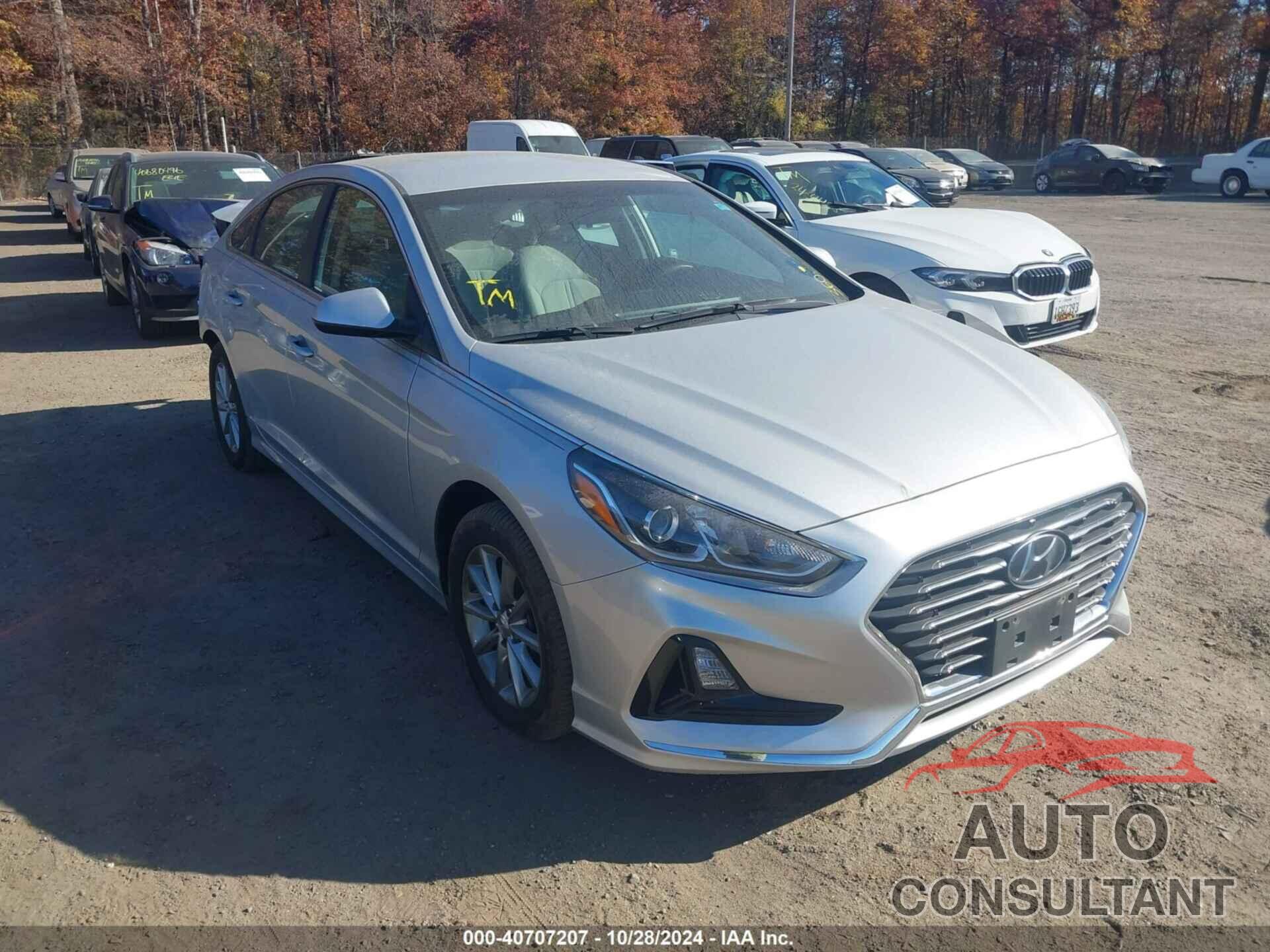 HYUNDAI SONATA 2019 - 5NPE24AF7KH779512