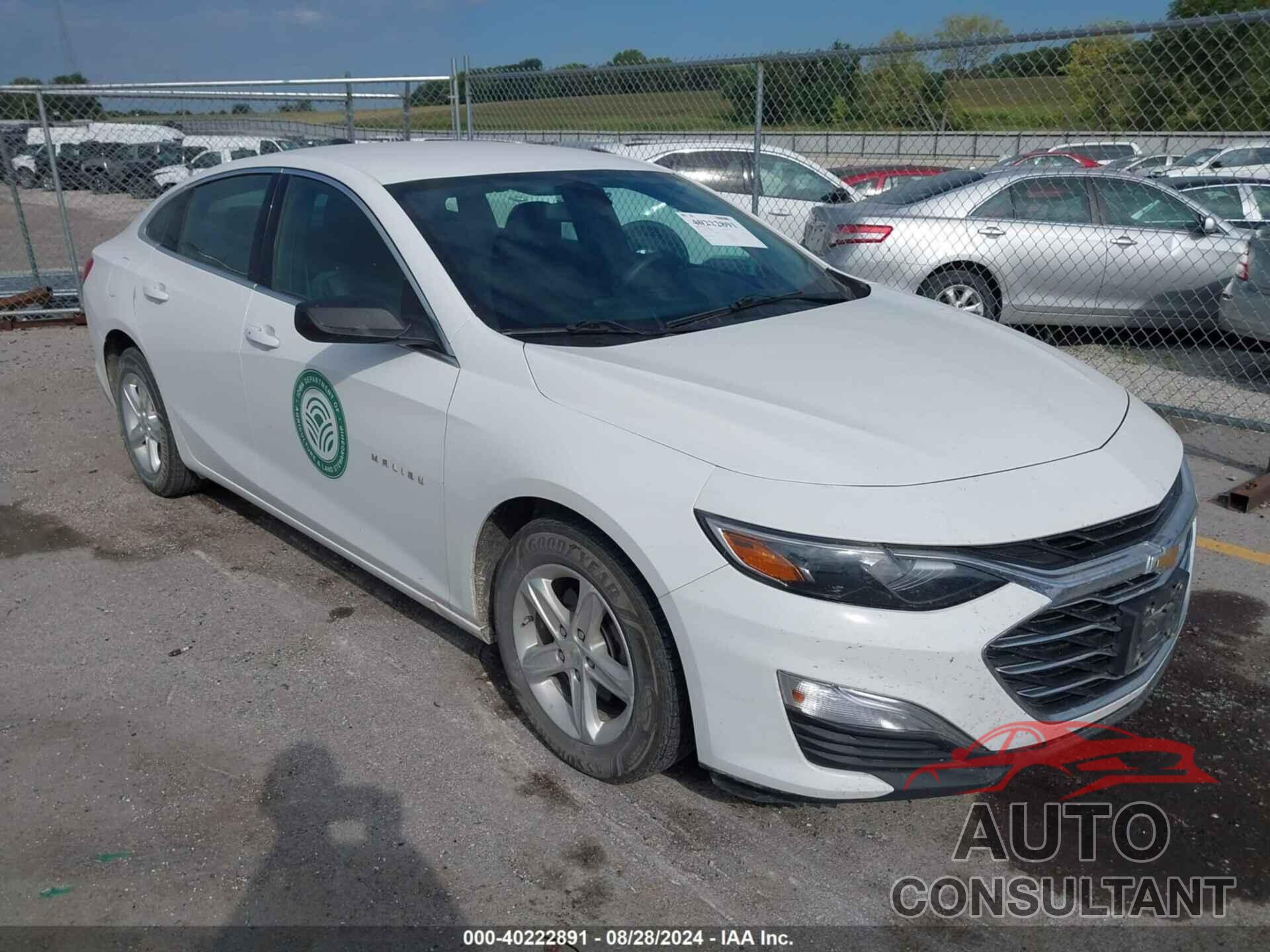 CHEVROLET MALIBU 2020 - 1G1ZC5ST2LF141102