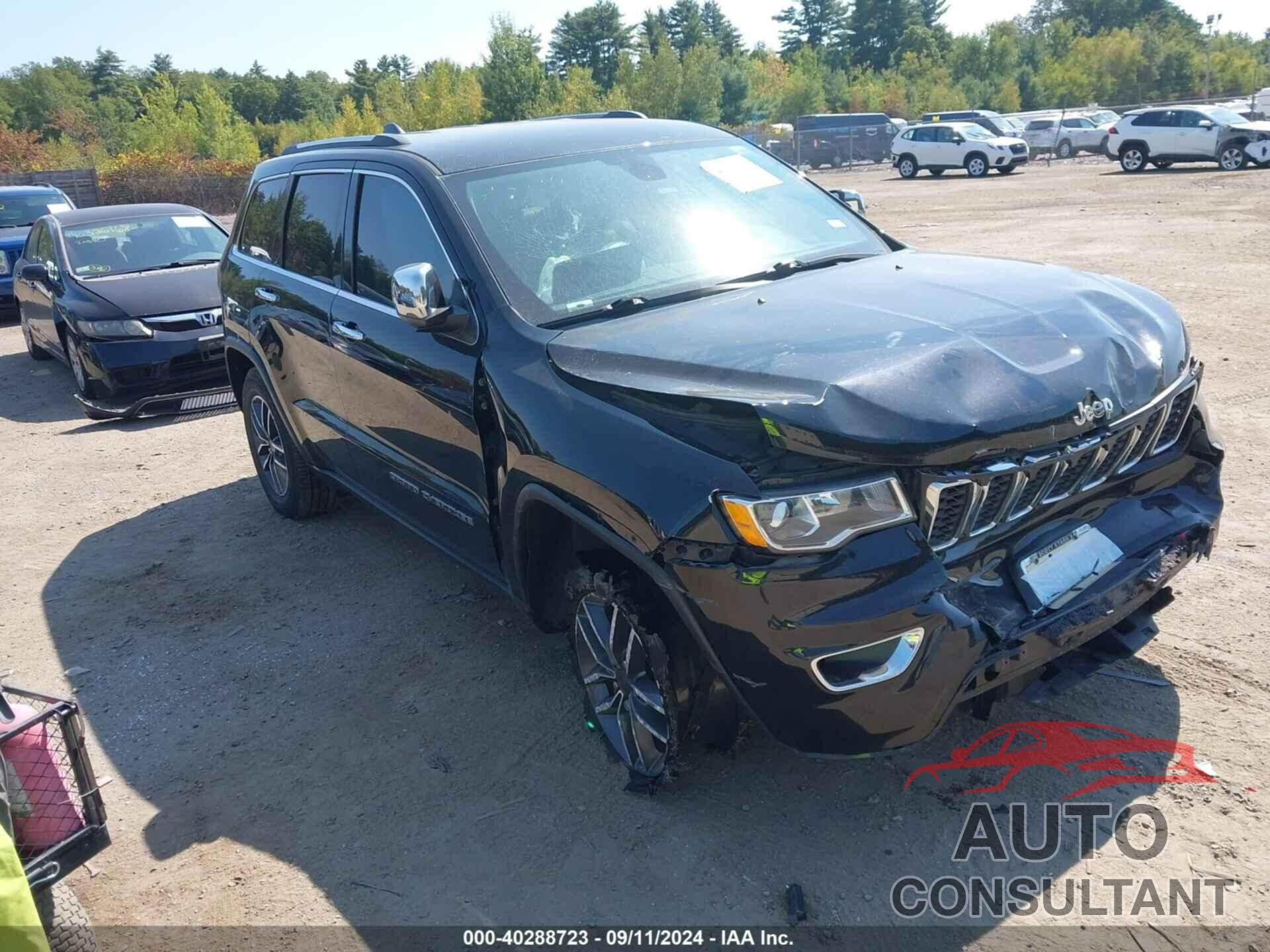 JEEP GRAND CHEROKEE 2019 - 1C4RJEBG1KC662389