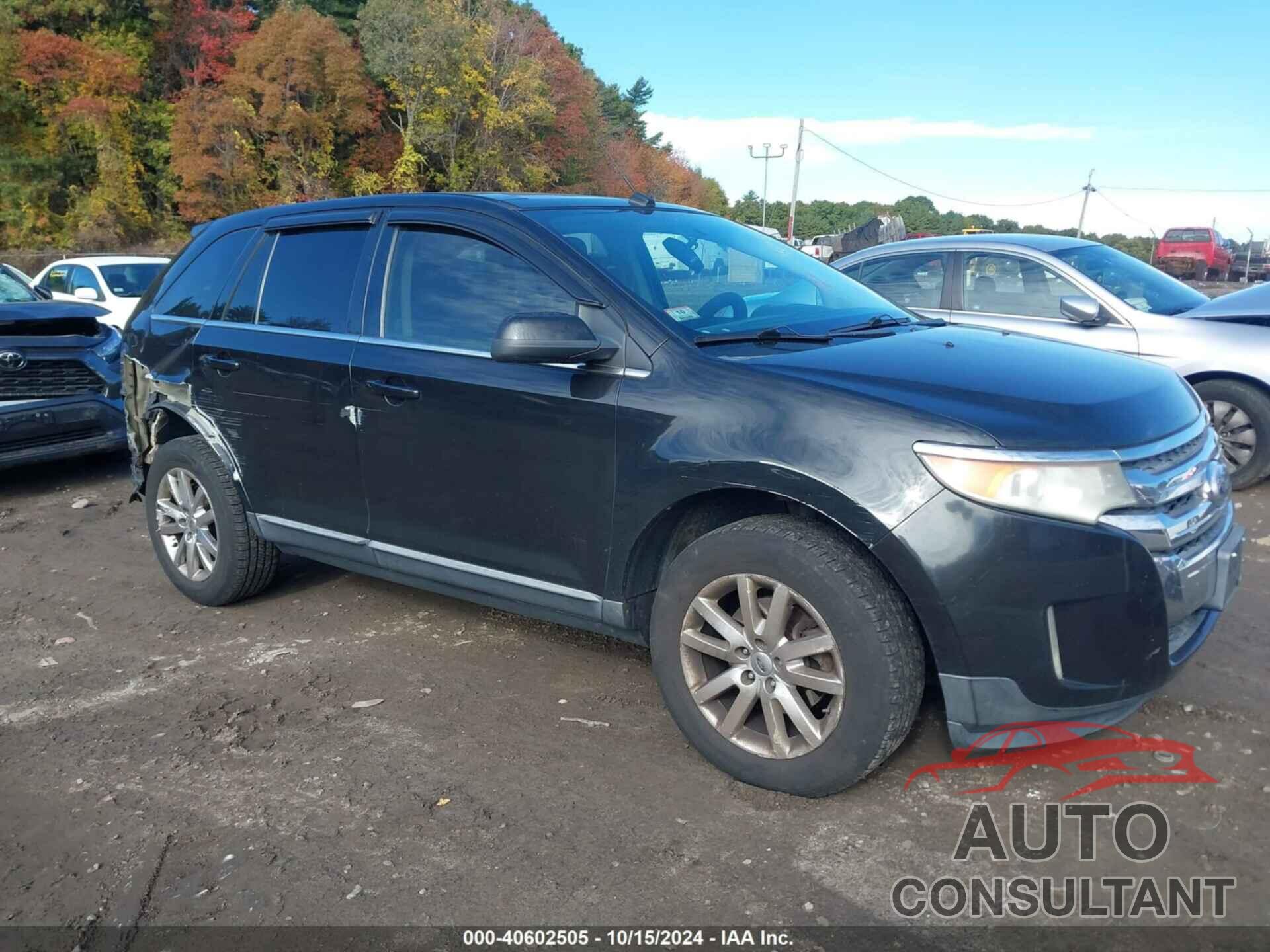 FORD EDGE 2011 - 2FMDK4KC0BBA90824