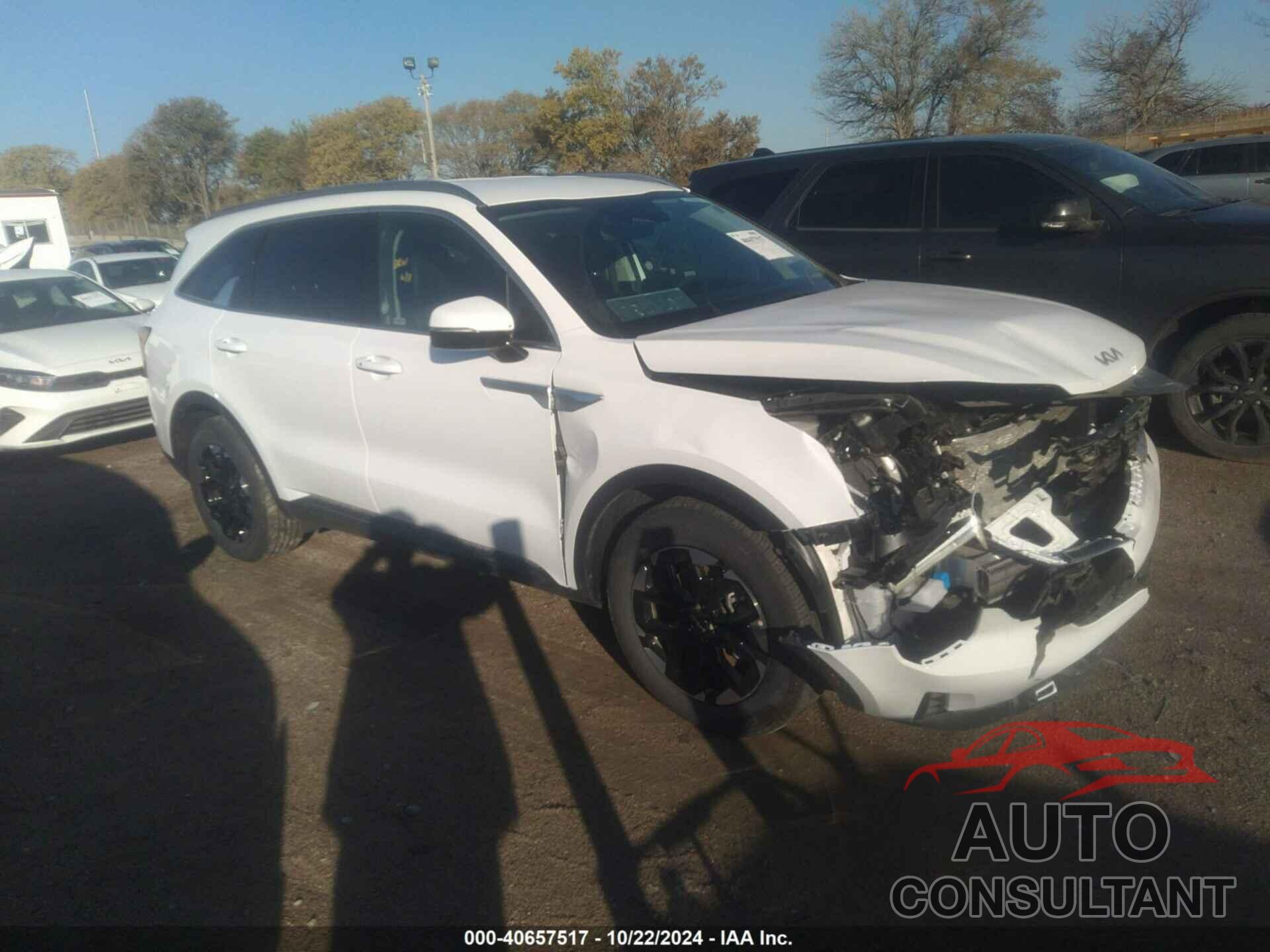 KIA SORENTO 2024 - 5XYRL4JC1RG280694