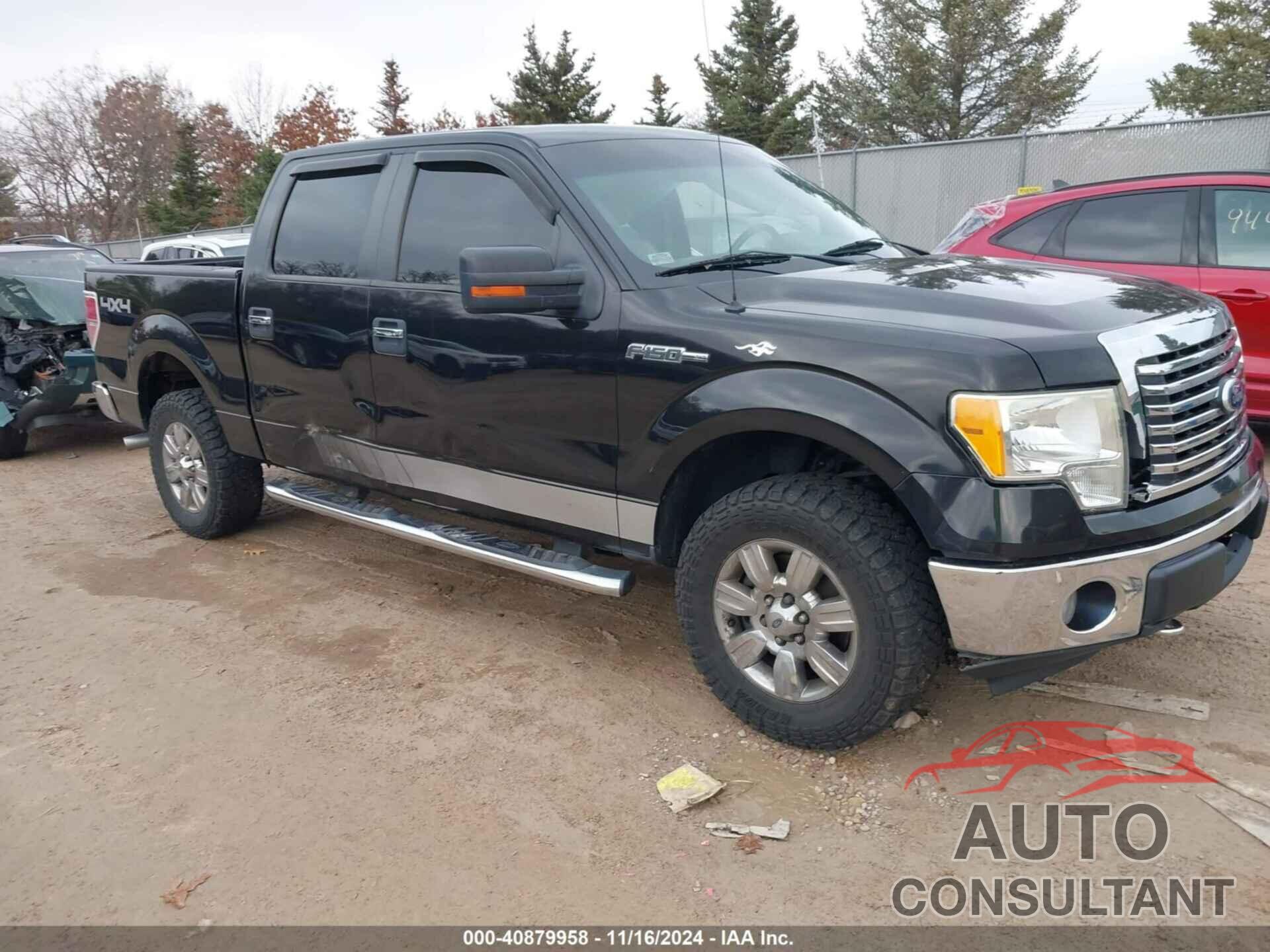 FORD F-150 2010 - 1FTFW1EV0AFD65067