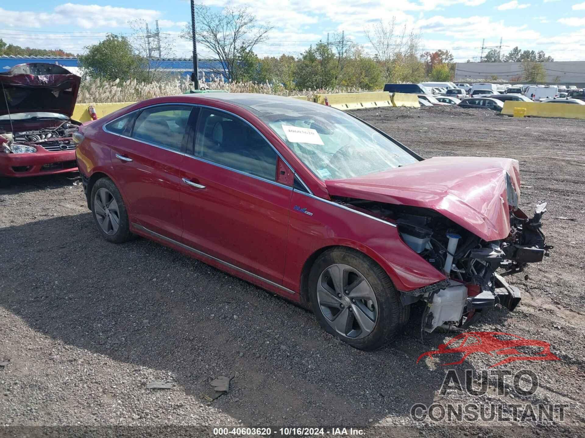 HYUNDAI SONATA HYBRID 2016 - KMHE34L13GA030649