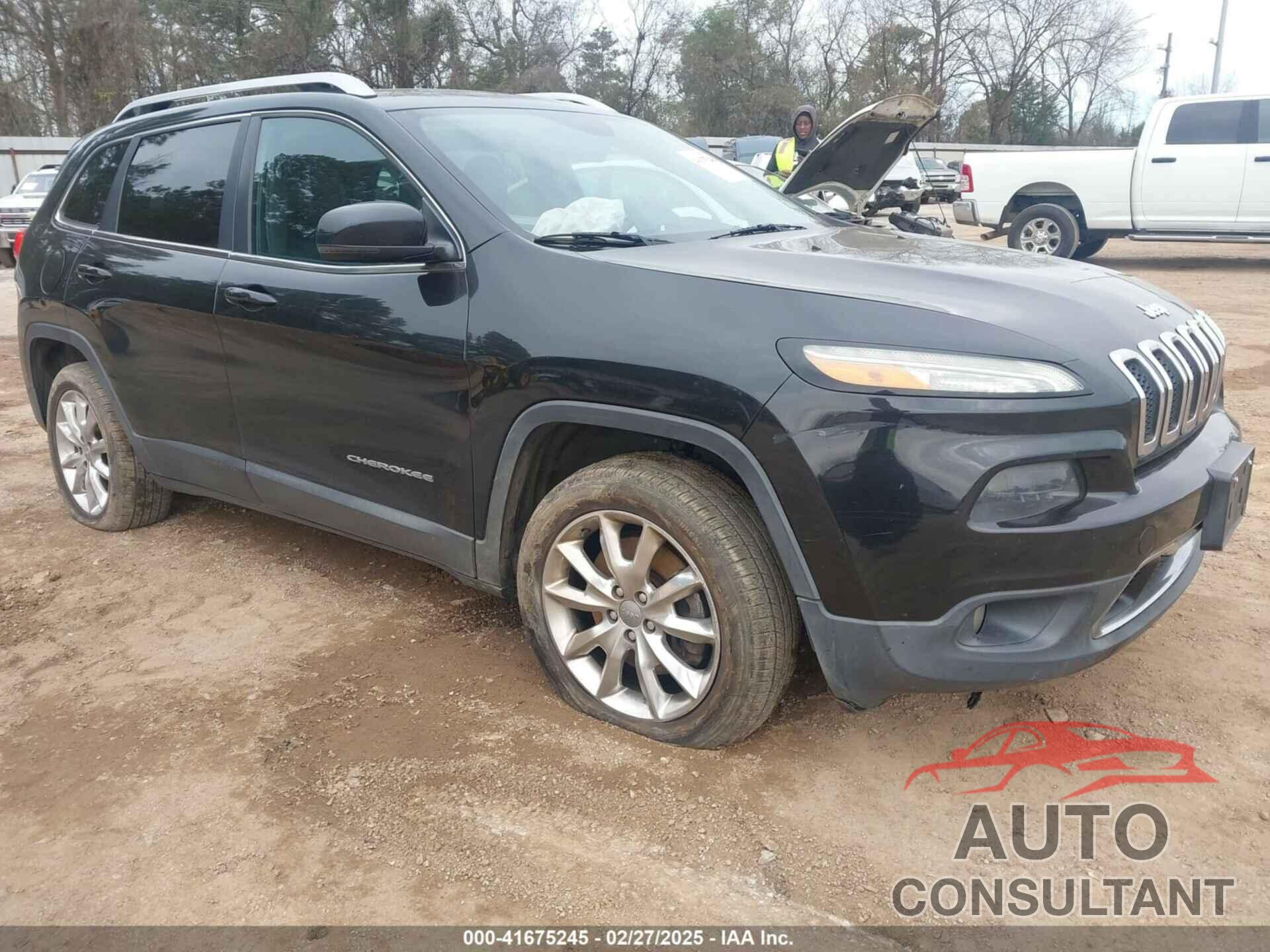JEEP CHEROKEE 2014 - 1C4PJMDS6EW241175
