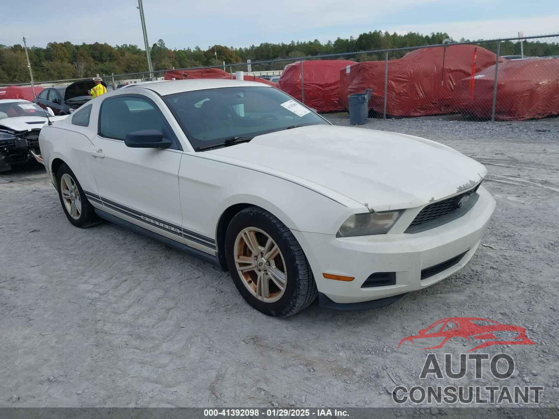 FORD MUSTANG 2011 - 1ZVBP8AM1B5108456