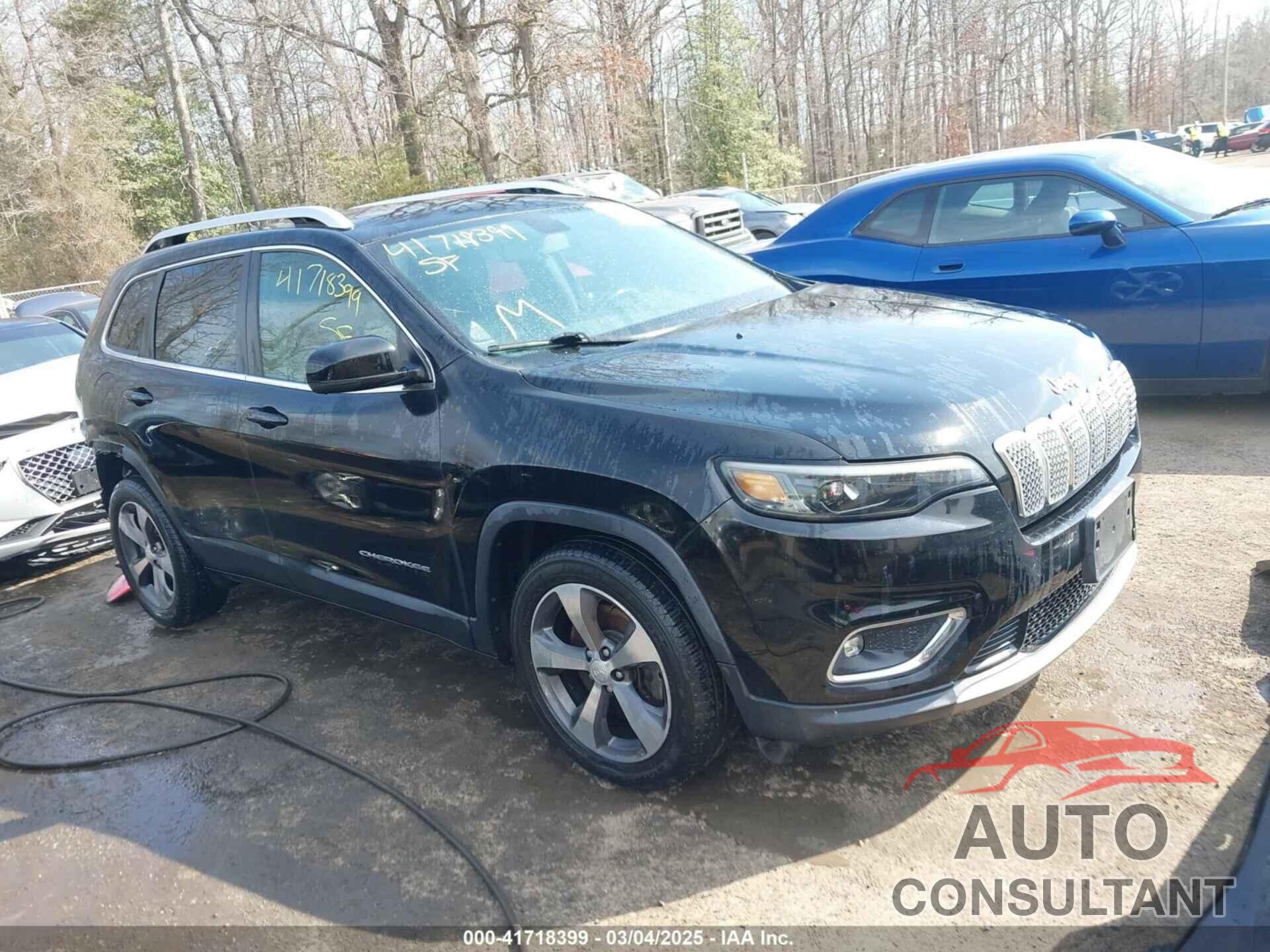 JEEP CHEROKEE 2019 - 1C4PJLDBXKD433958