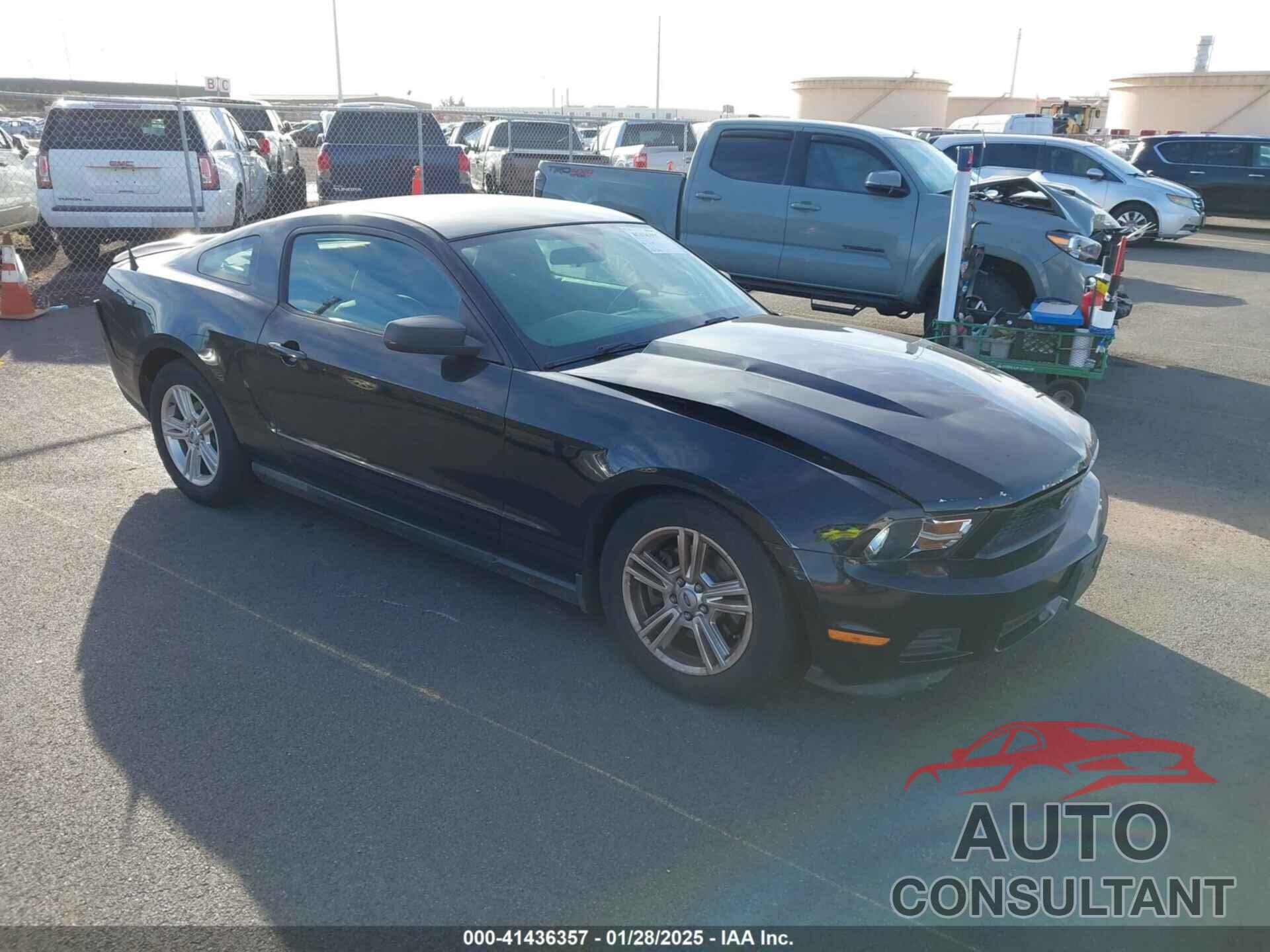 FORD MUSTANG 2011 - 1ZVBP8AM4B5116826