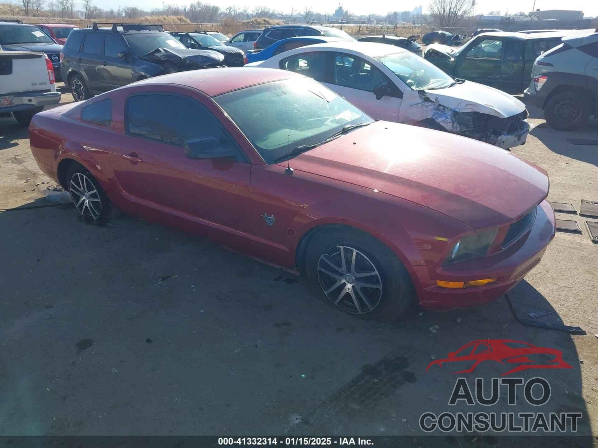 FORD MUSTANG 2009 - 1ZVHT80N995137410