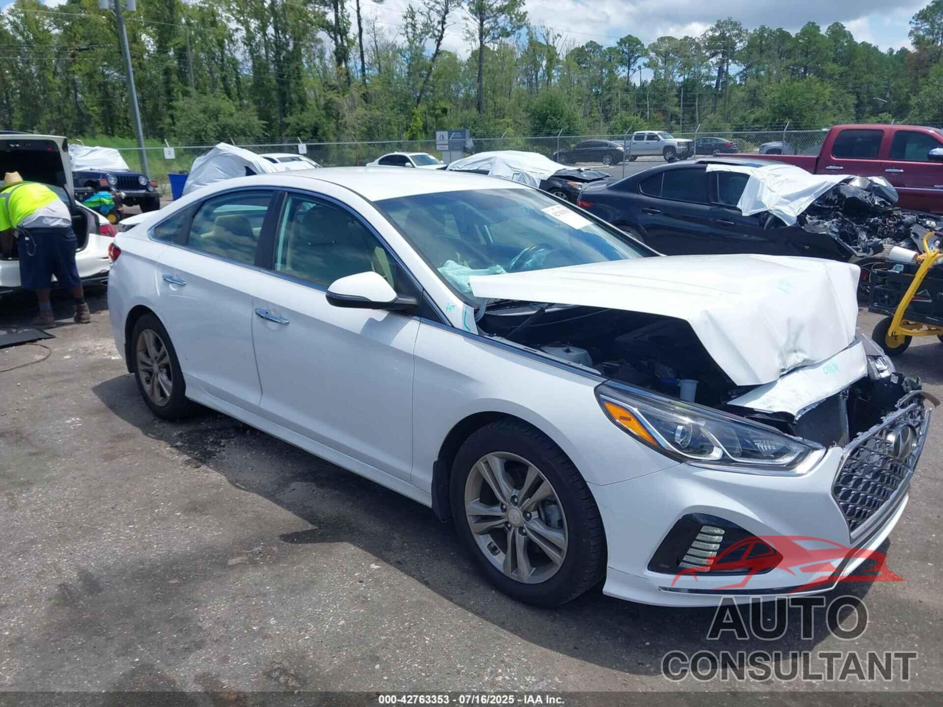 HYUNDAI SONATA 2019 - 5NPE34AF4KH812138