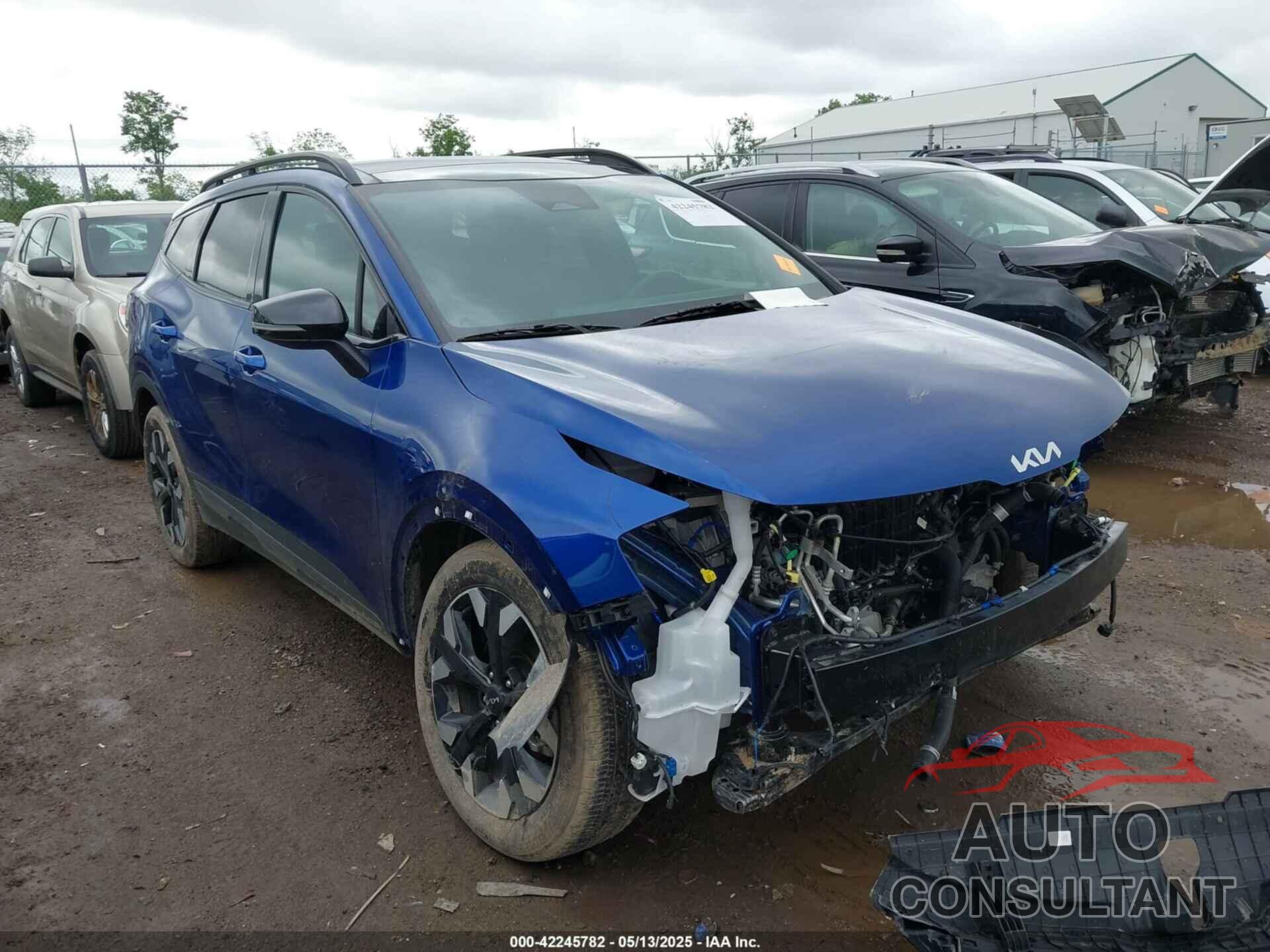 KIA SPORTAGE 2024 - 5XYK6CDF2RG181102