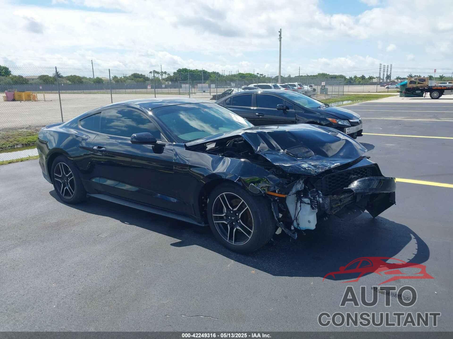 FORD MUSTANG 2019 - 1FA6P8TH4K5195697