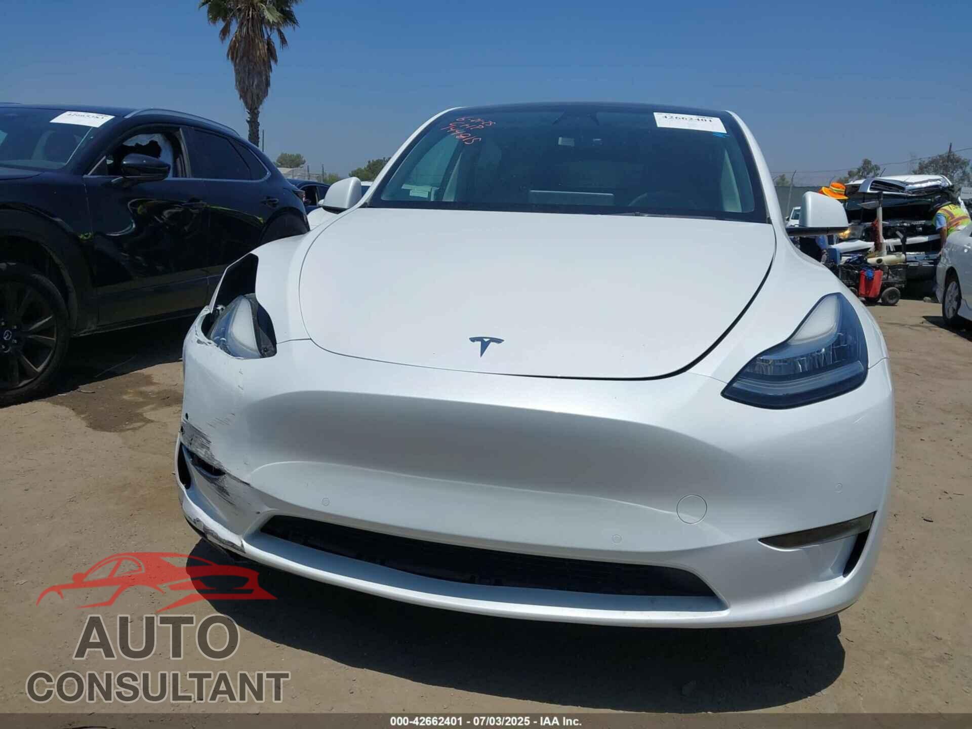 TESLA MODEL Y 2021 - 5YJYGDEEXMF298770