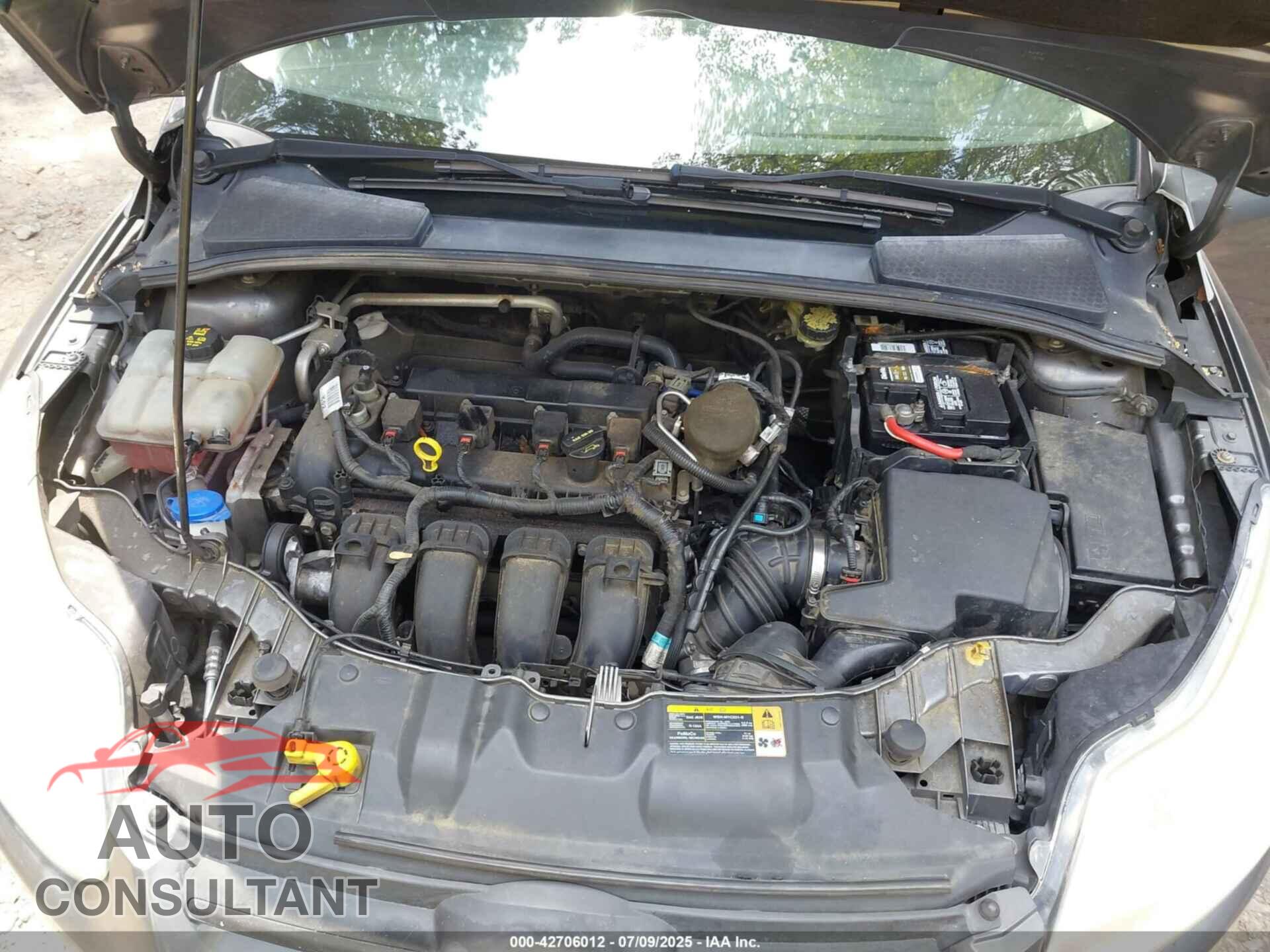 FORD FOCUS 2014 - 1FADP3F20EL202646