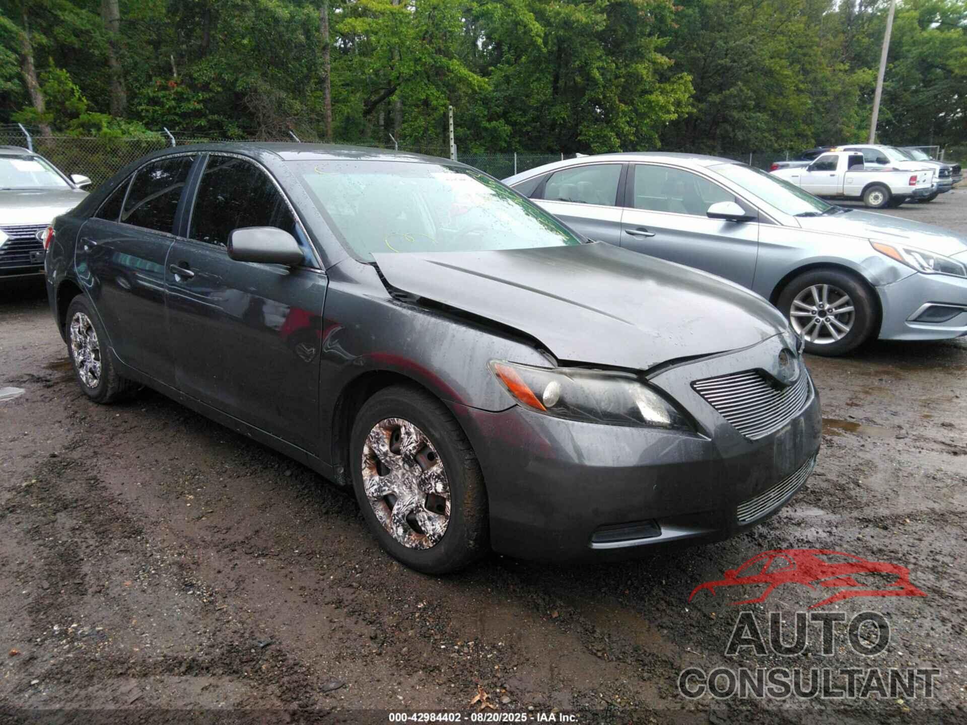 TOYOTA CAMRY 2009 - 4T1BE46K19U369655