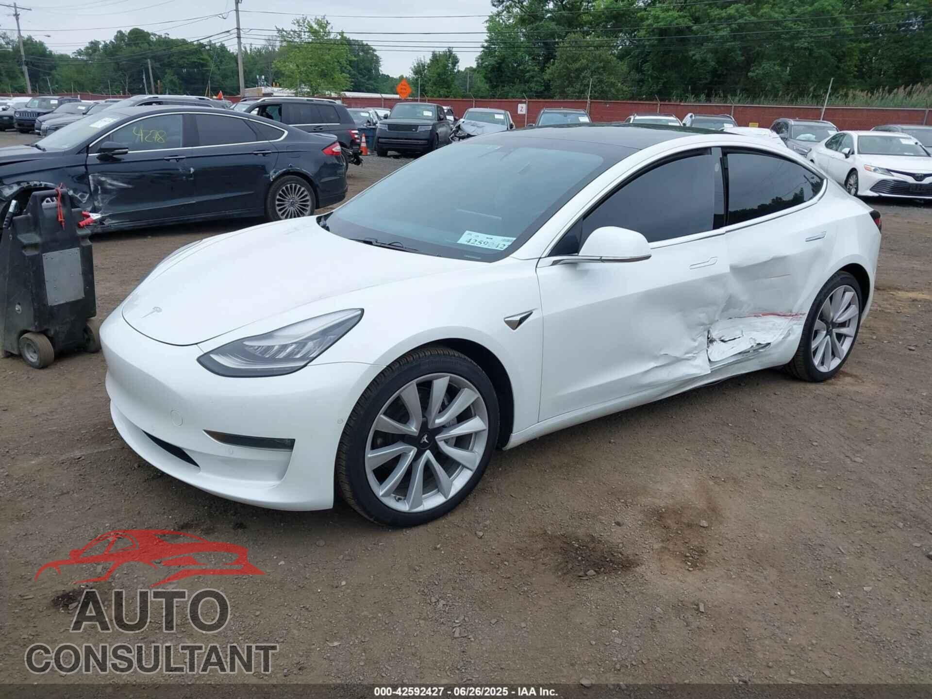 TESLA MODEL 3 2019 - 5YJ3E1EB1KF494209