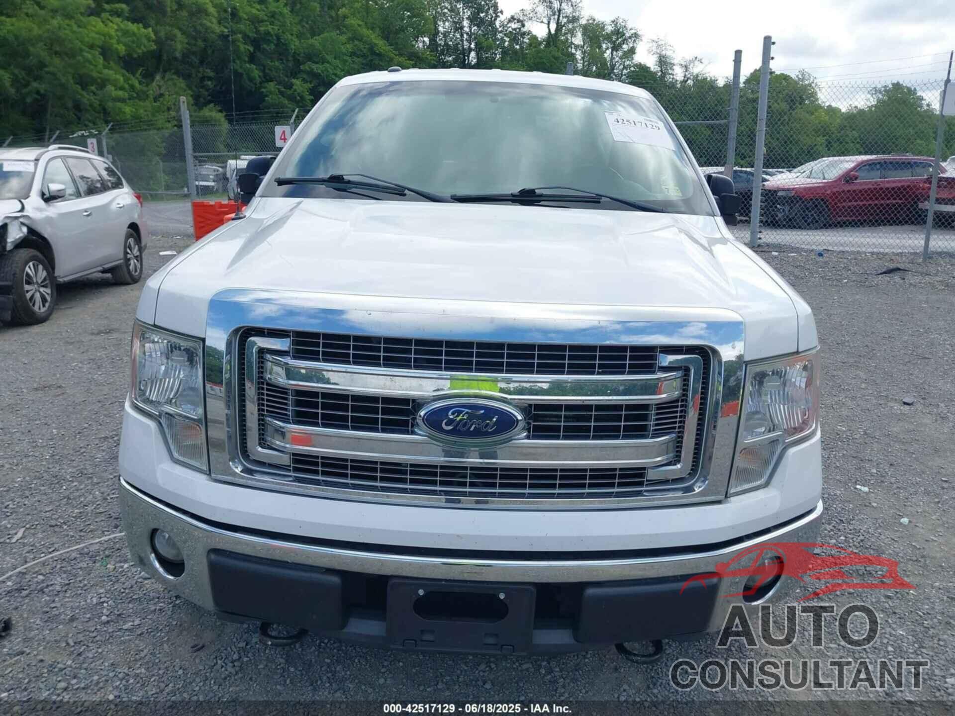 FORD F-150 2014 - 1FTFX1EF5EFA91747