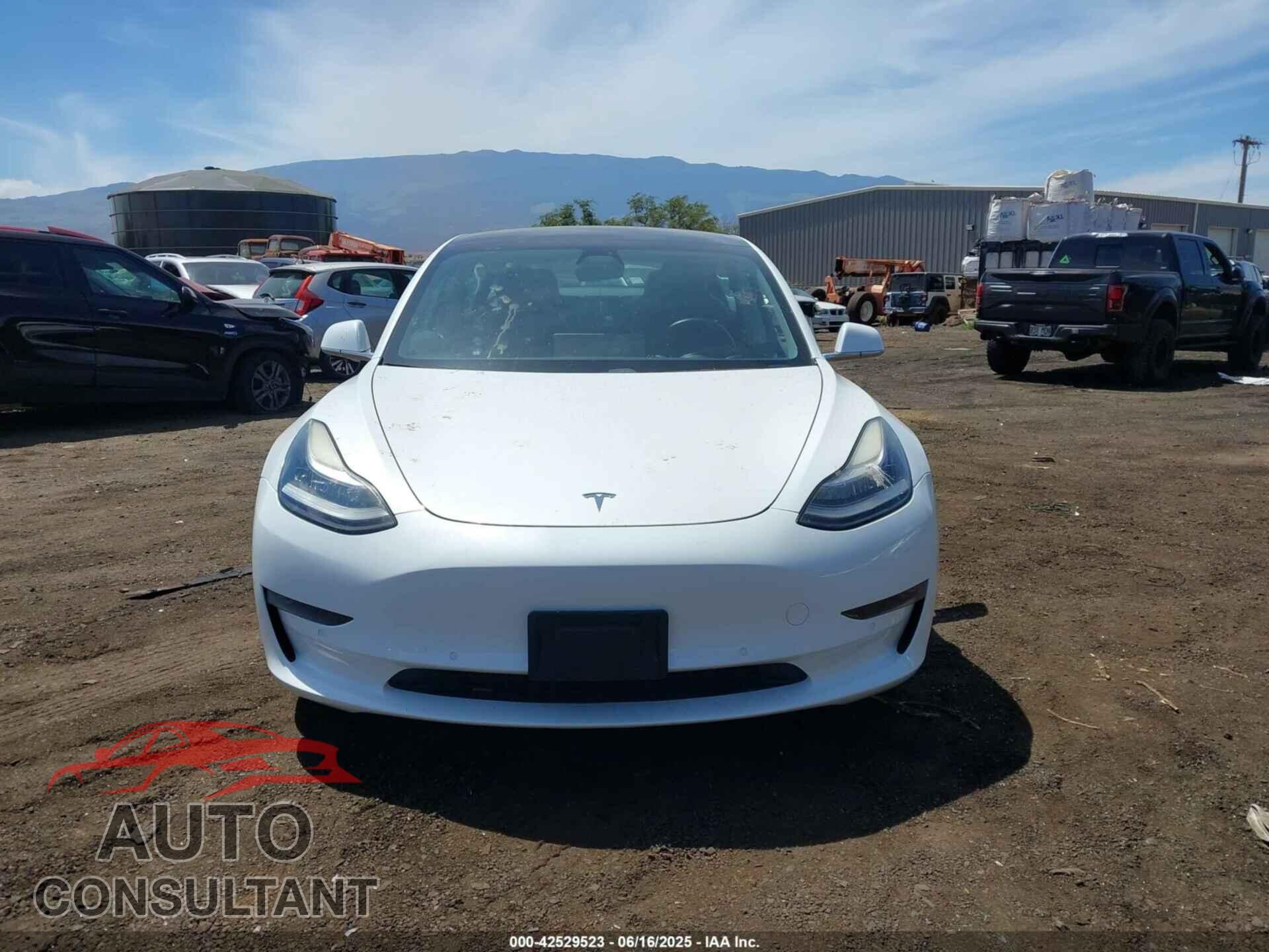 TESLA MODEL 3 2019 - 5YJ3E1EA3KF401407