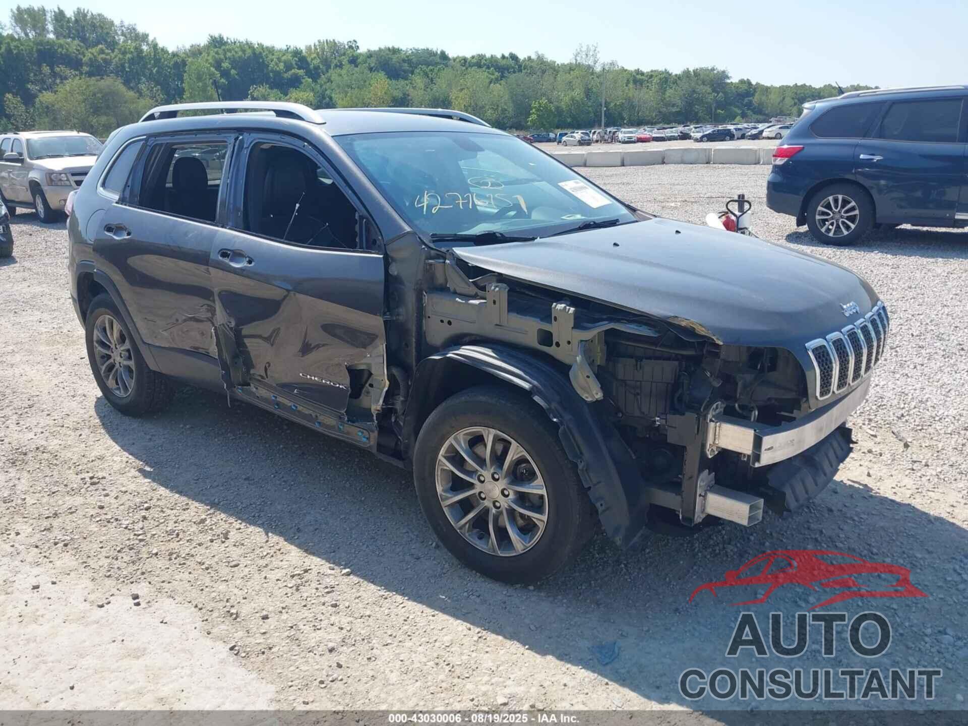 JEEP CHEROKEE 2019 - 1C4PJMLB5KD413589