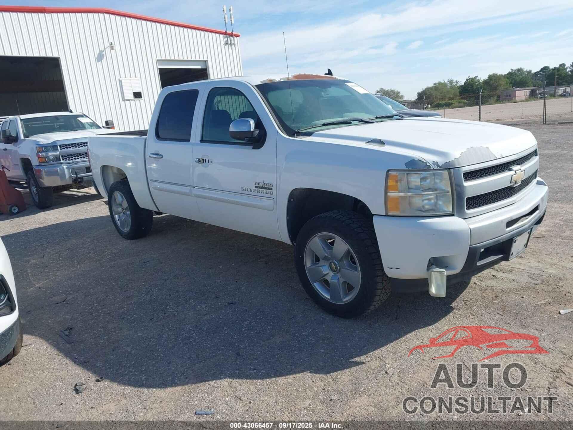 CHEVROLET SILVERADO 1500 2011 - 3GCPCSE09BG342409