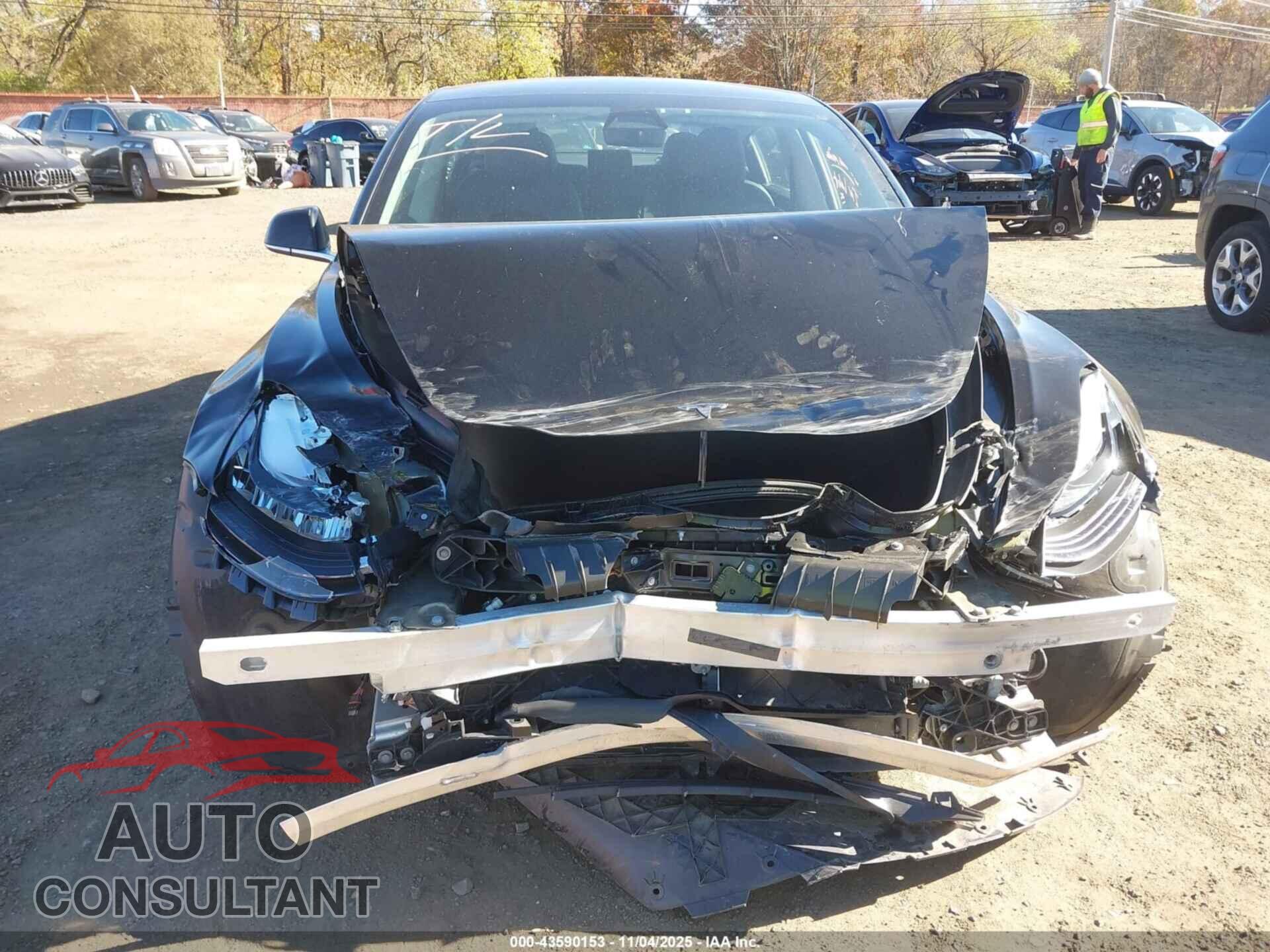 TESLA MODEL 3 2019 - 5YJ3E1EB2KF451451