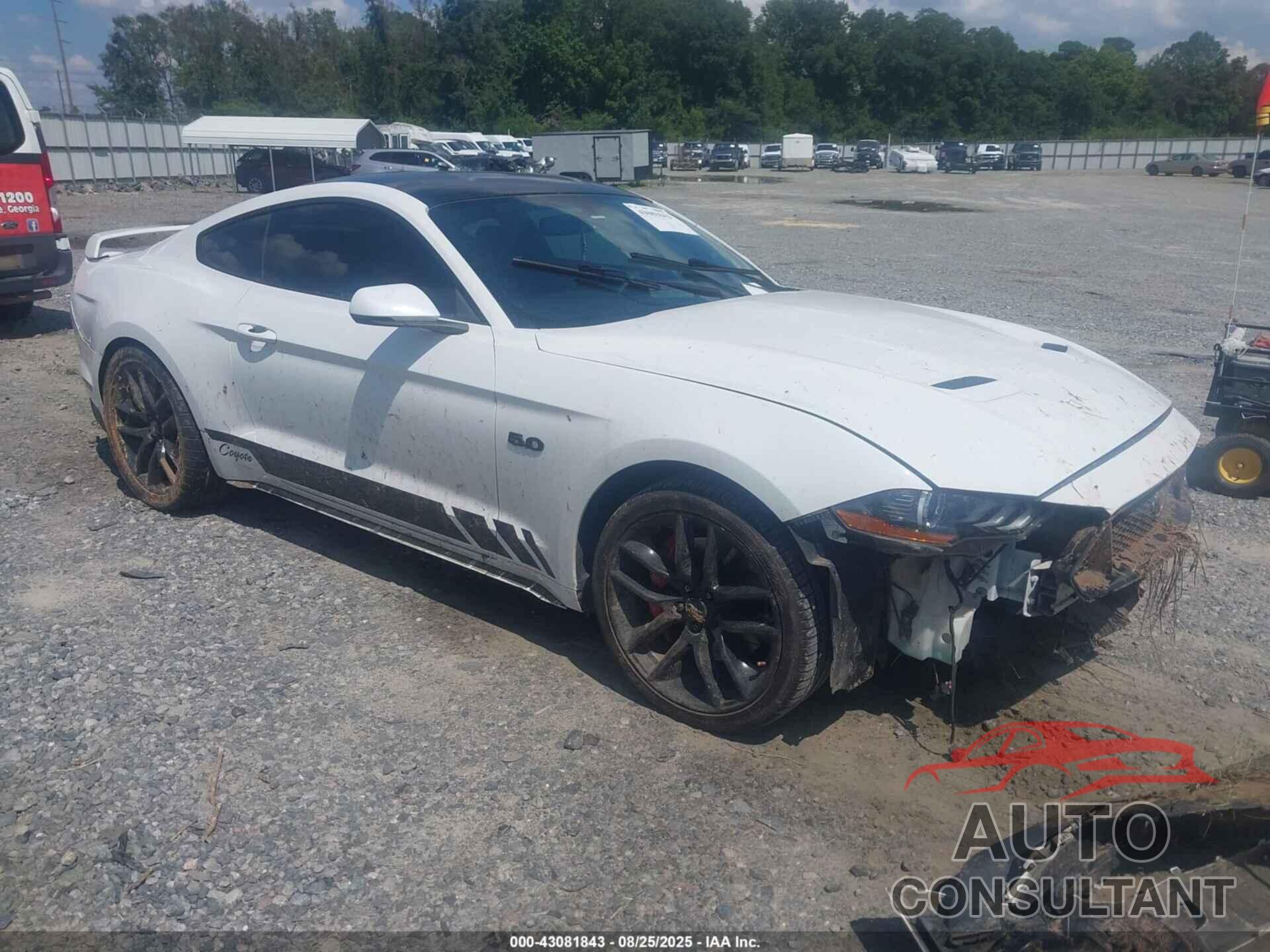 FORD MUSTANG 2018 - 1FA6P8CF2J5117979