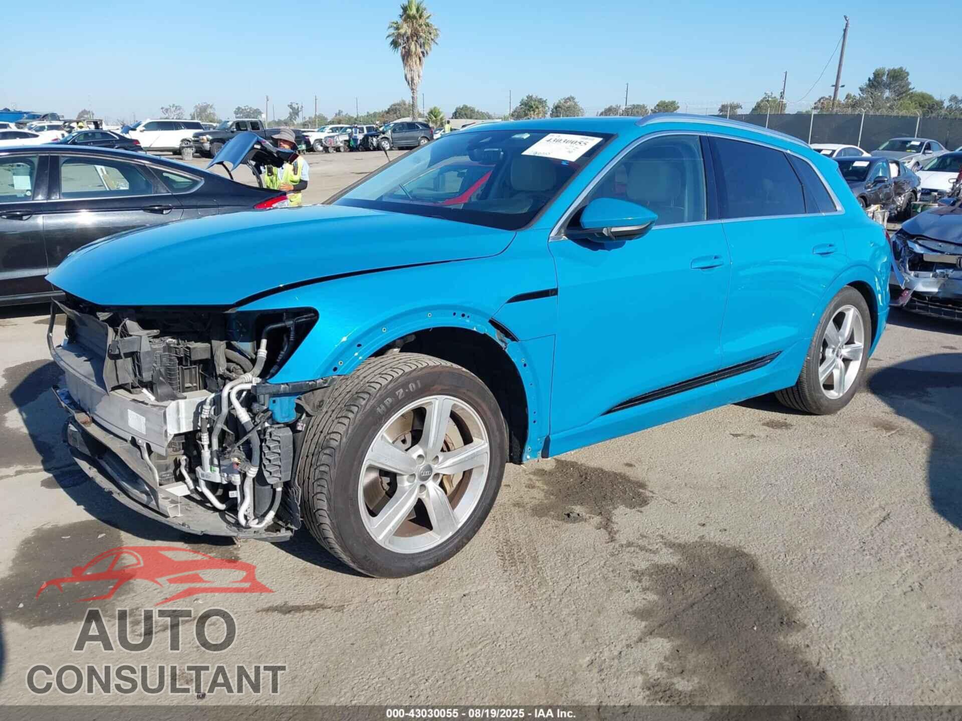 AUDI E-TRON 2019 - WA1VABGEXKB012903