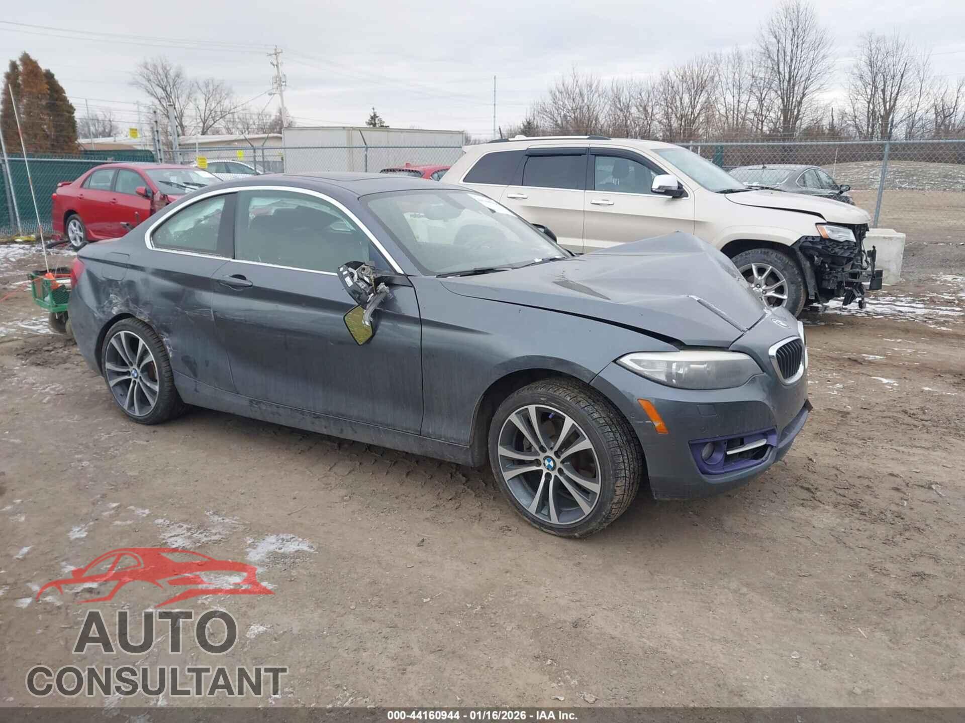BMW 228I 2014 - WBA1F5C5XEV255673