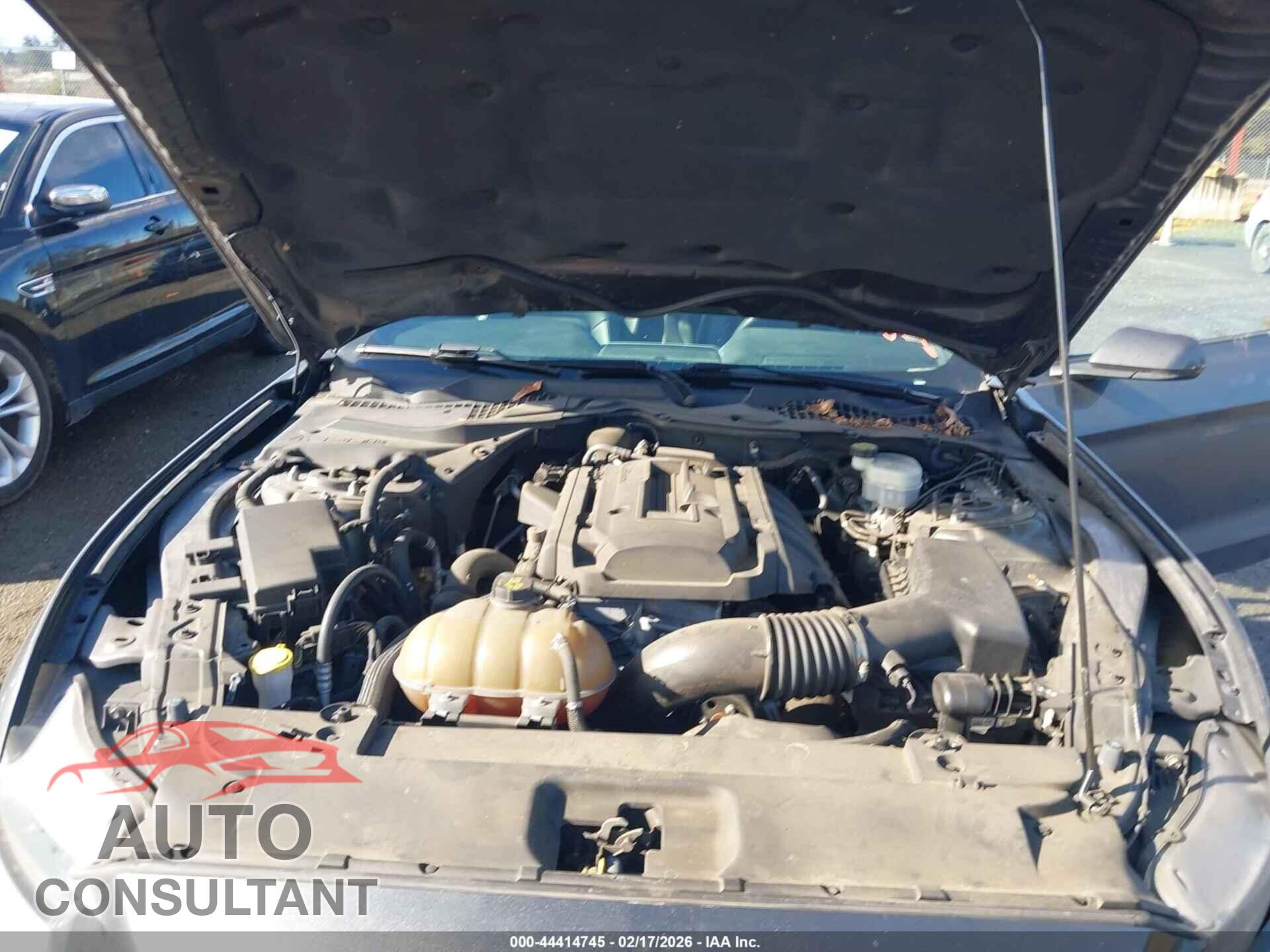 FORD MUSTANG 2015 - 1FA6P8TH7F5343542