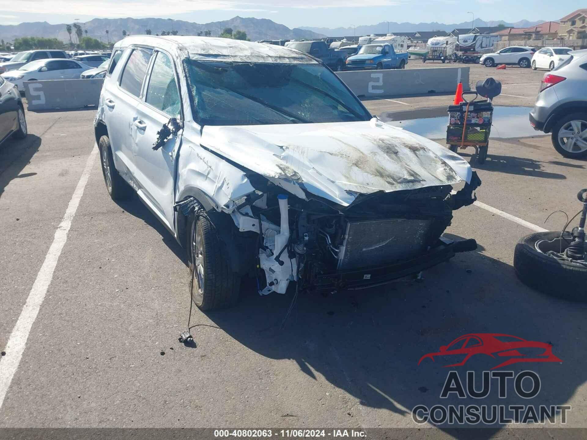 HYUNDAI PALISADE 2024 - KM8R2DGE4RU717206
