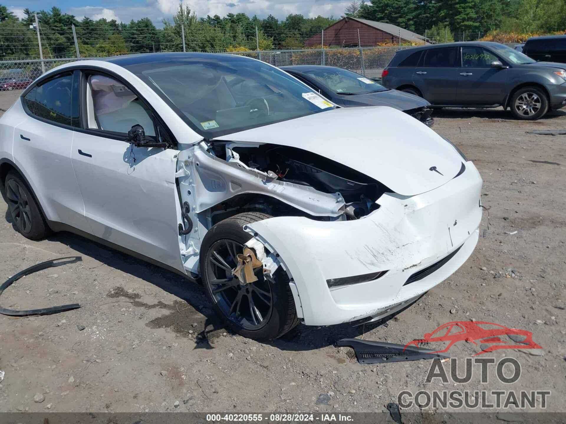 TESLA MODEL Y 2024 - 7SAYGDEE0RF154073