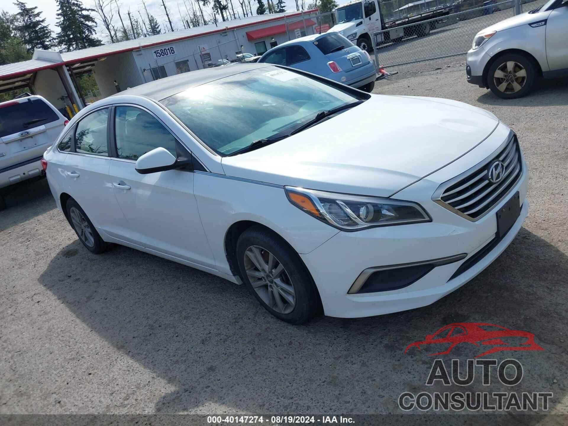 HYUNDAI SONATA 2016 - 5NPE24AF1GH358487