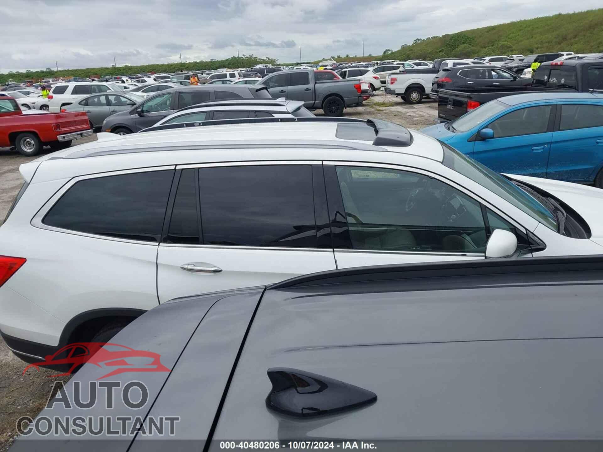 HONDA PILOT 2021 - 5FNYF5H62MB031703