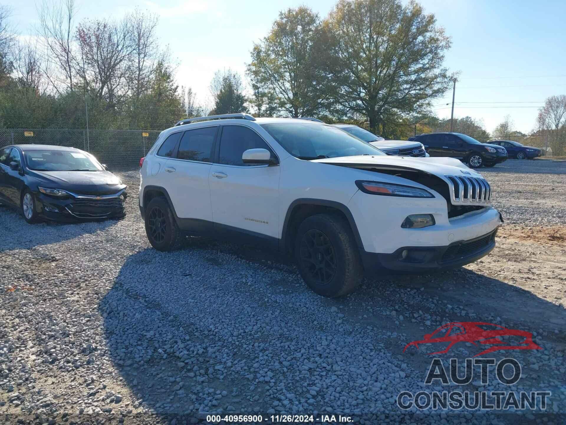 JEEP CHEROKEE 2014 - 1C4PJLCS2EW245347