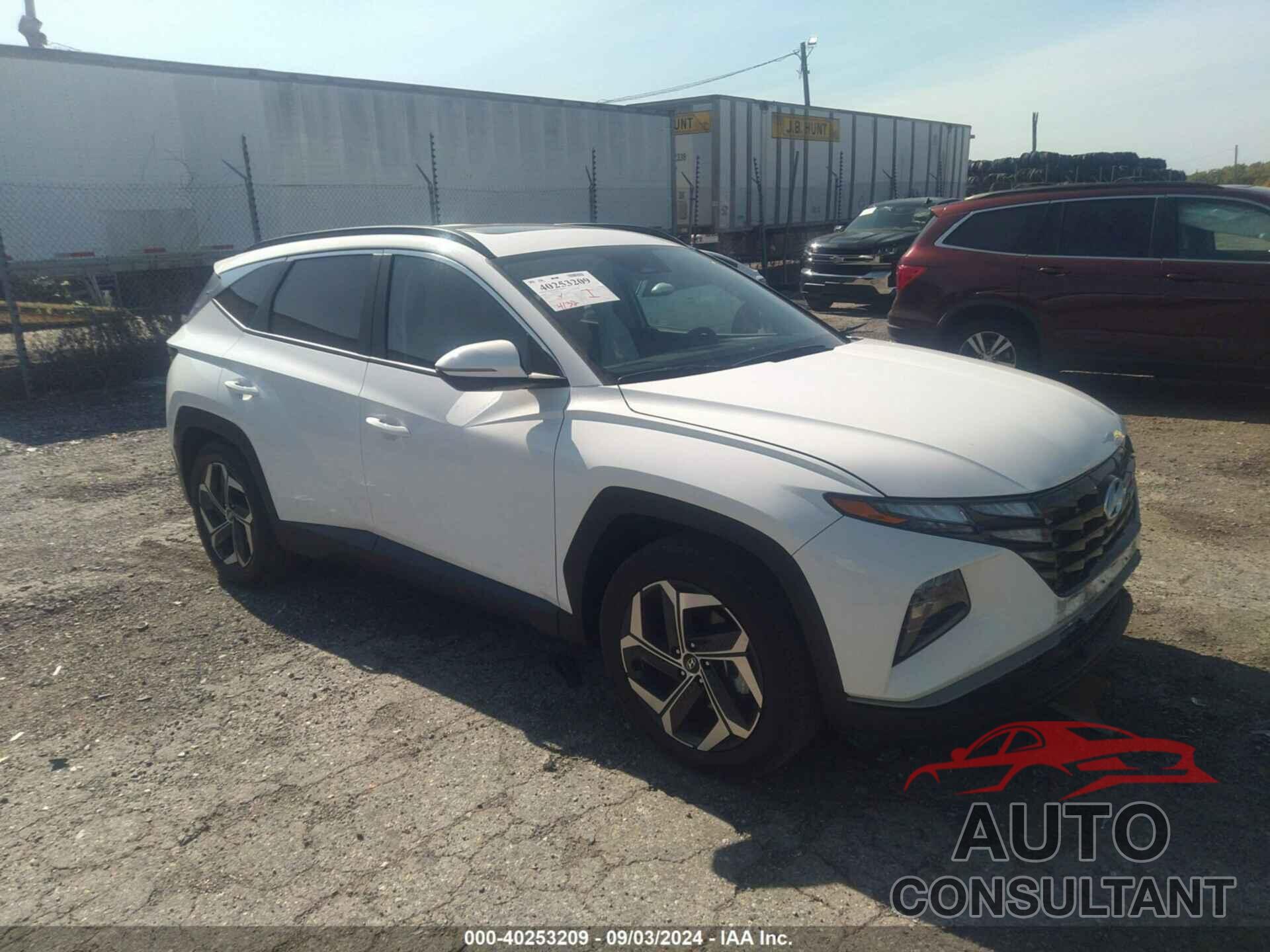 HYUNDAI TUCSON 2024 - 5NMJF3DE9RH338701