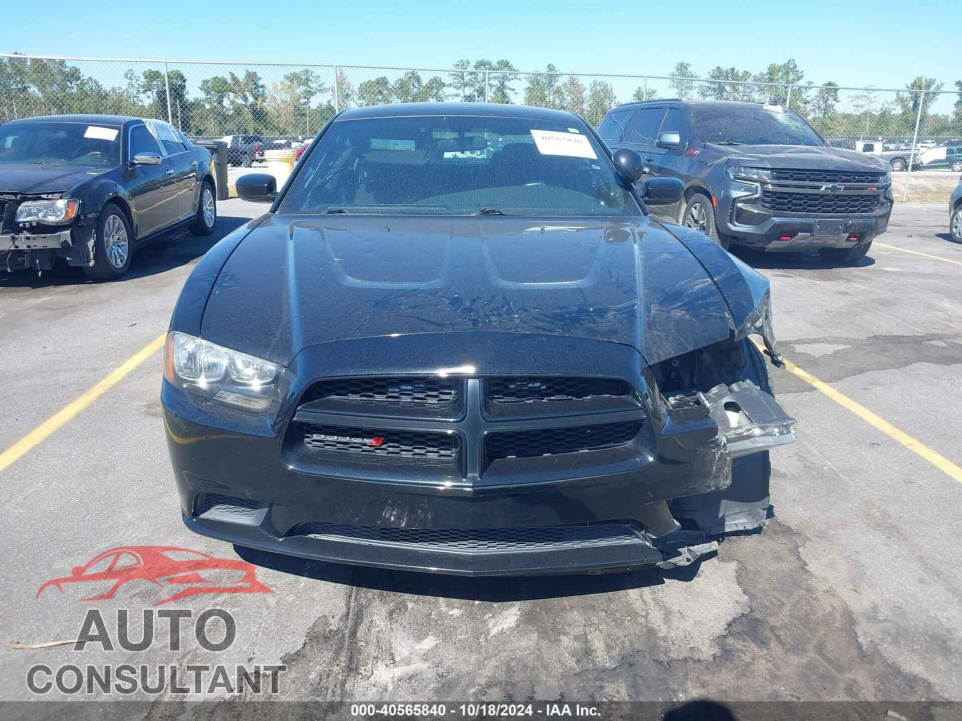 DODGE CHARGER 2014 - 2C3CDXKTXEH357971