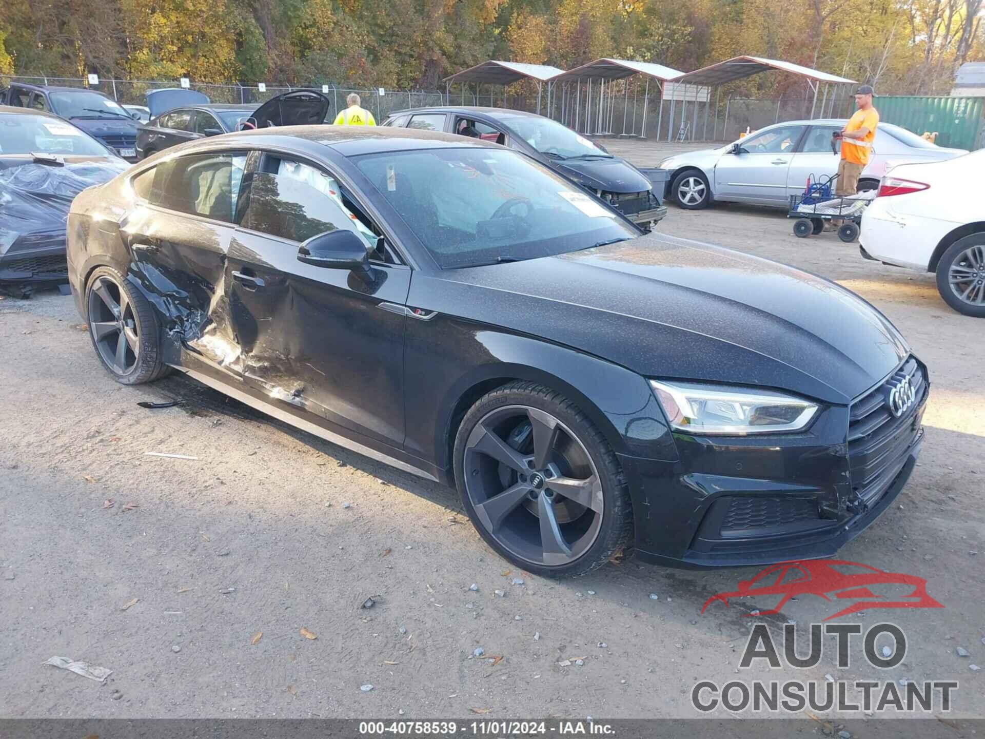 AUDI S5 2019 - WAUB4CF54KA052517