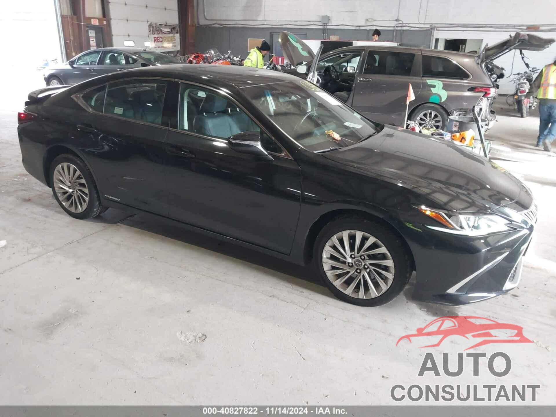 LEXUS ES 300H 2020 - 58AE21B16LU005362