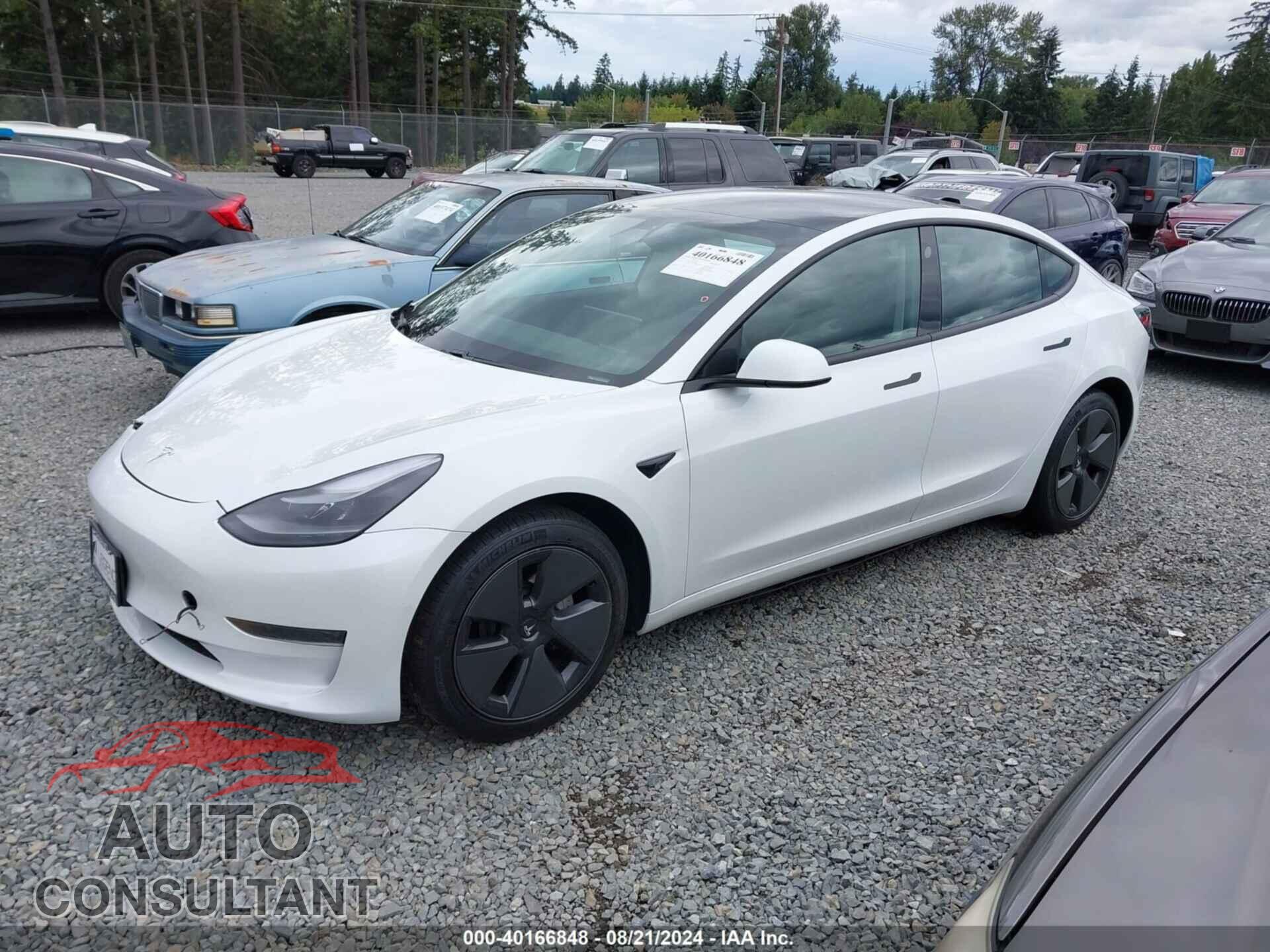 TESLA MODEL 3 2021 - 5YJ3E1EA0MF929831