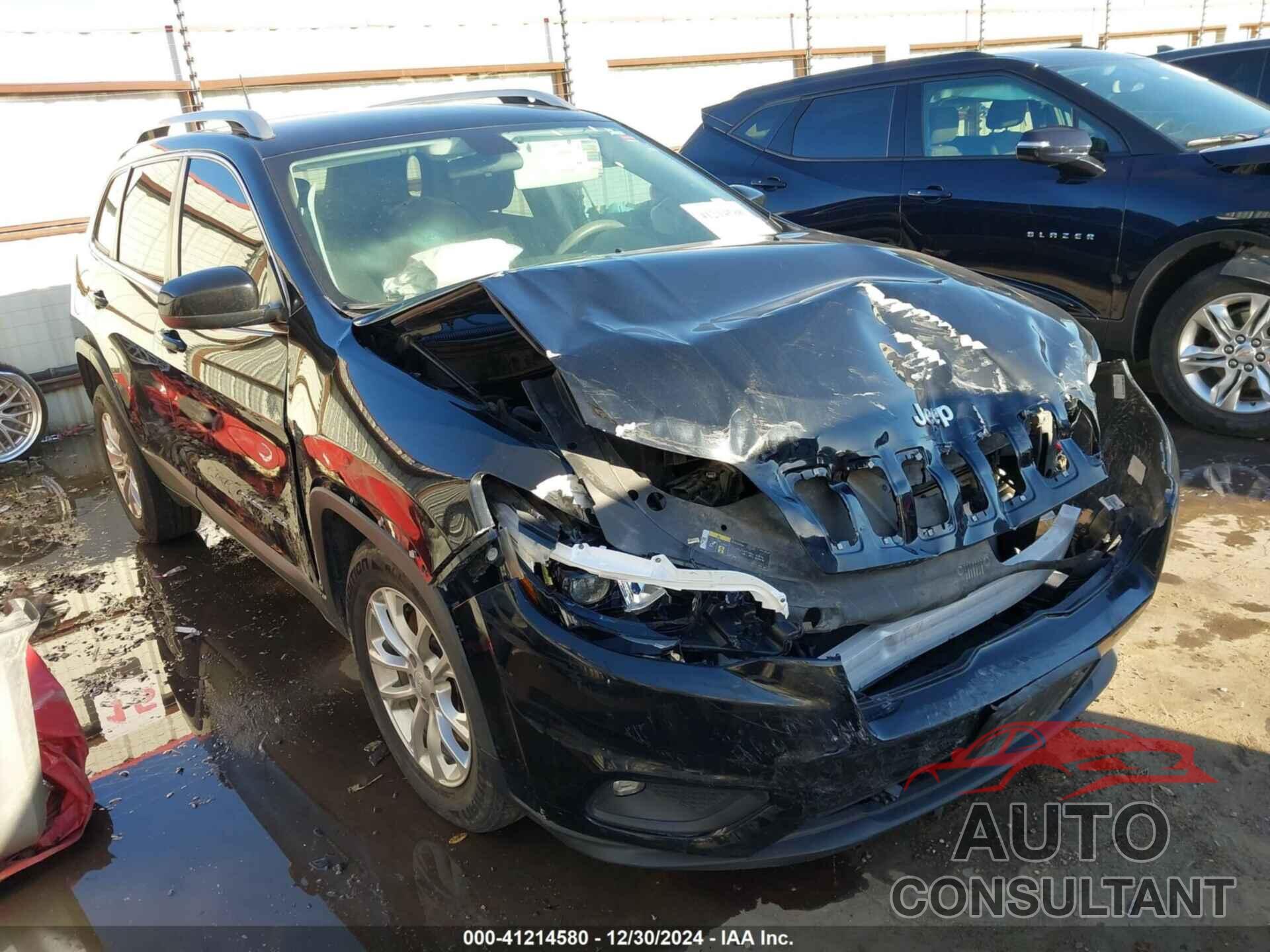 JEEP CHEROKEE 2019 - 1C4PJLCB3KD187529